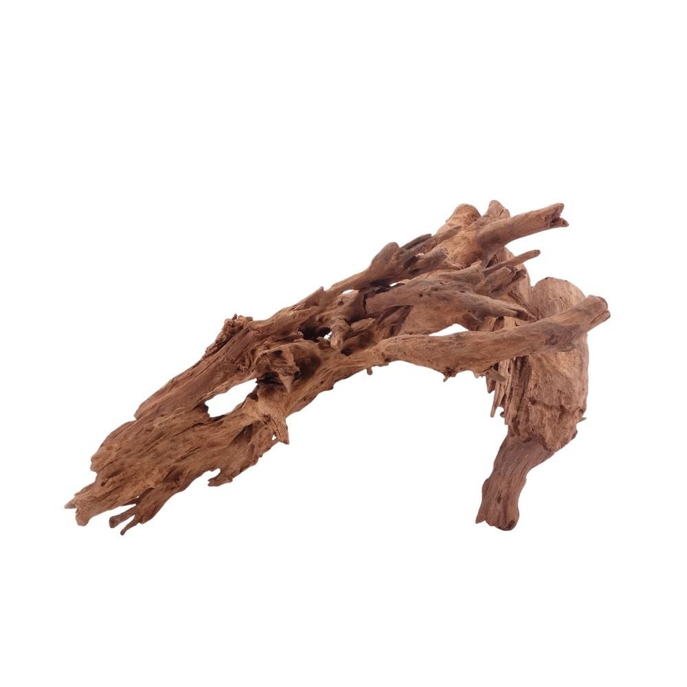 Aquaone Aquarium L Mangrovenwurzel Nr.5296 Holz Deko Aquascaping
