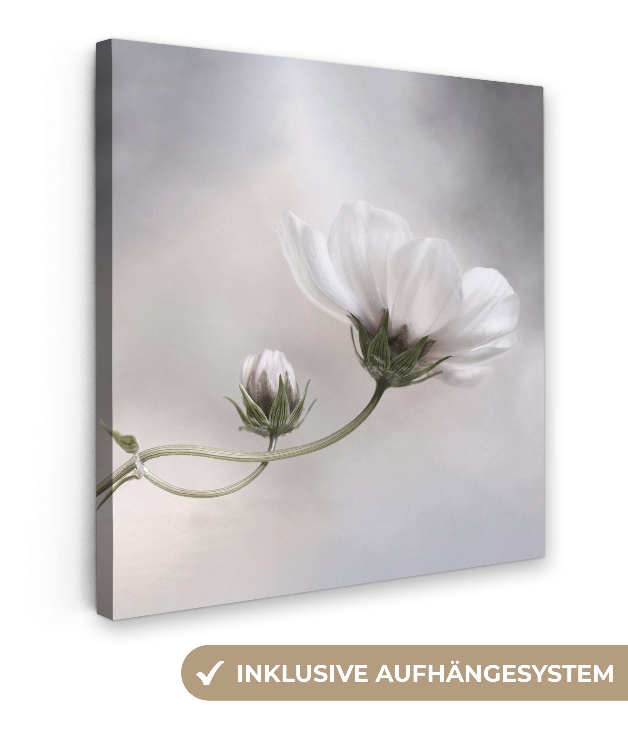 OneMillionCanvasses® Leinwandbild Blumen - Stillleben - Natur - Grau, (1 St), Leinwand Bilder für Wohnzimmer Schlafzimmer, 20x20 cm