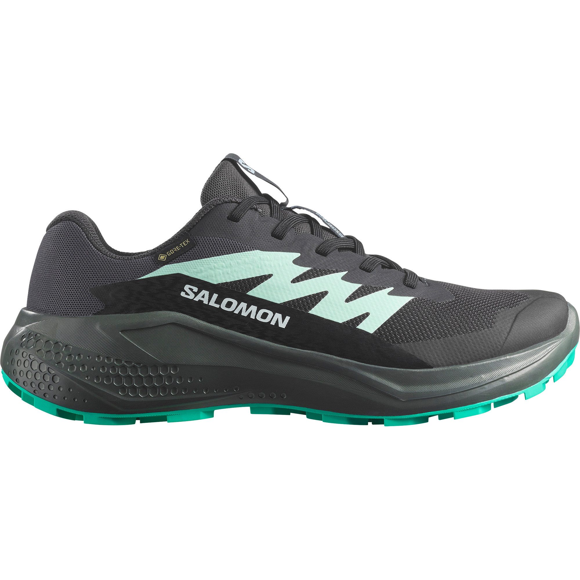 Salomon ALPHAGLIDE GORE-TEX W Laufschuh wasserdicht günstig online kaufen
