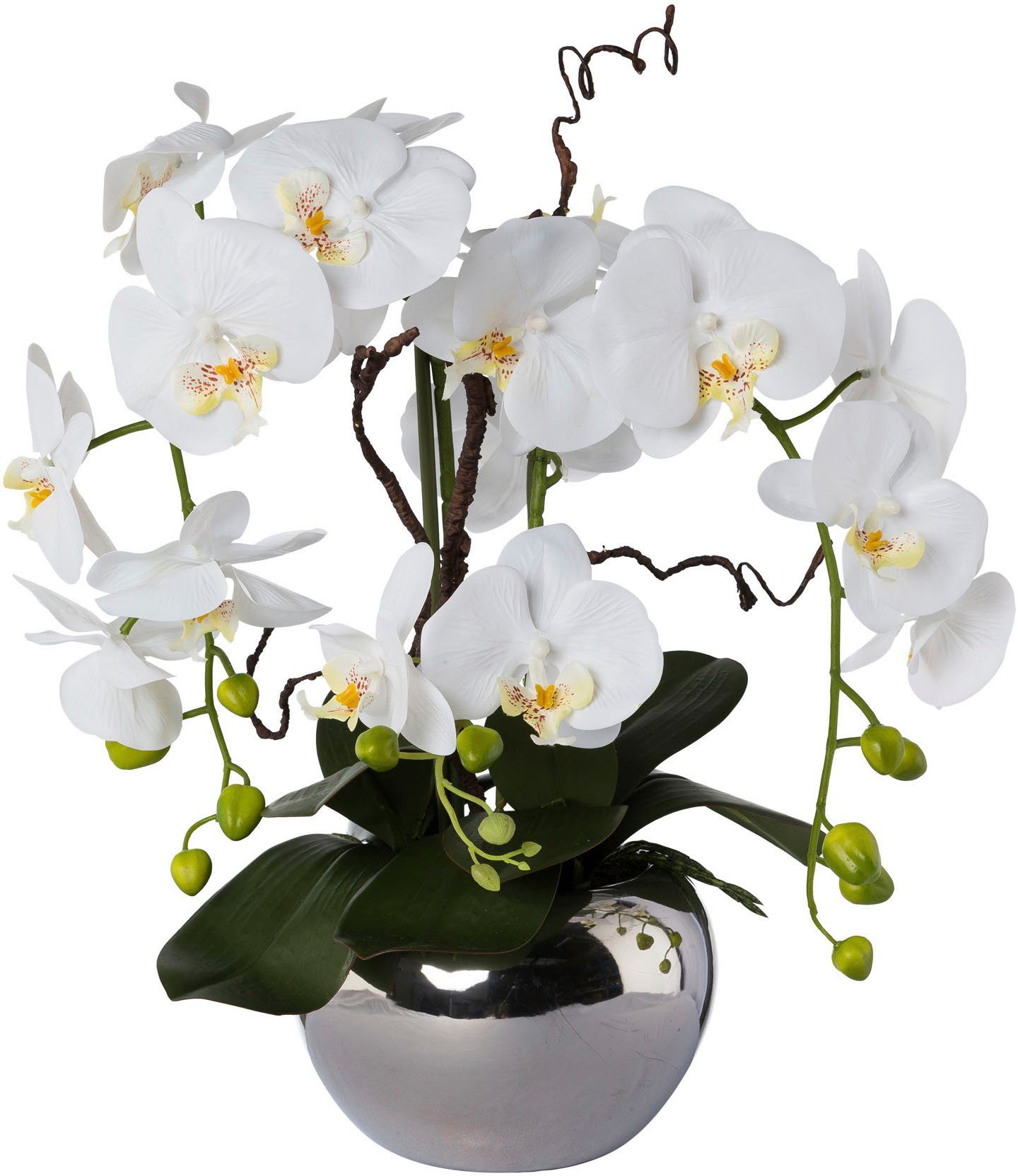 Phalaenopsis, 55 Creativ cm, Keramiktopf im Höhe green, Kunstorchidee
