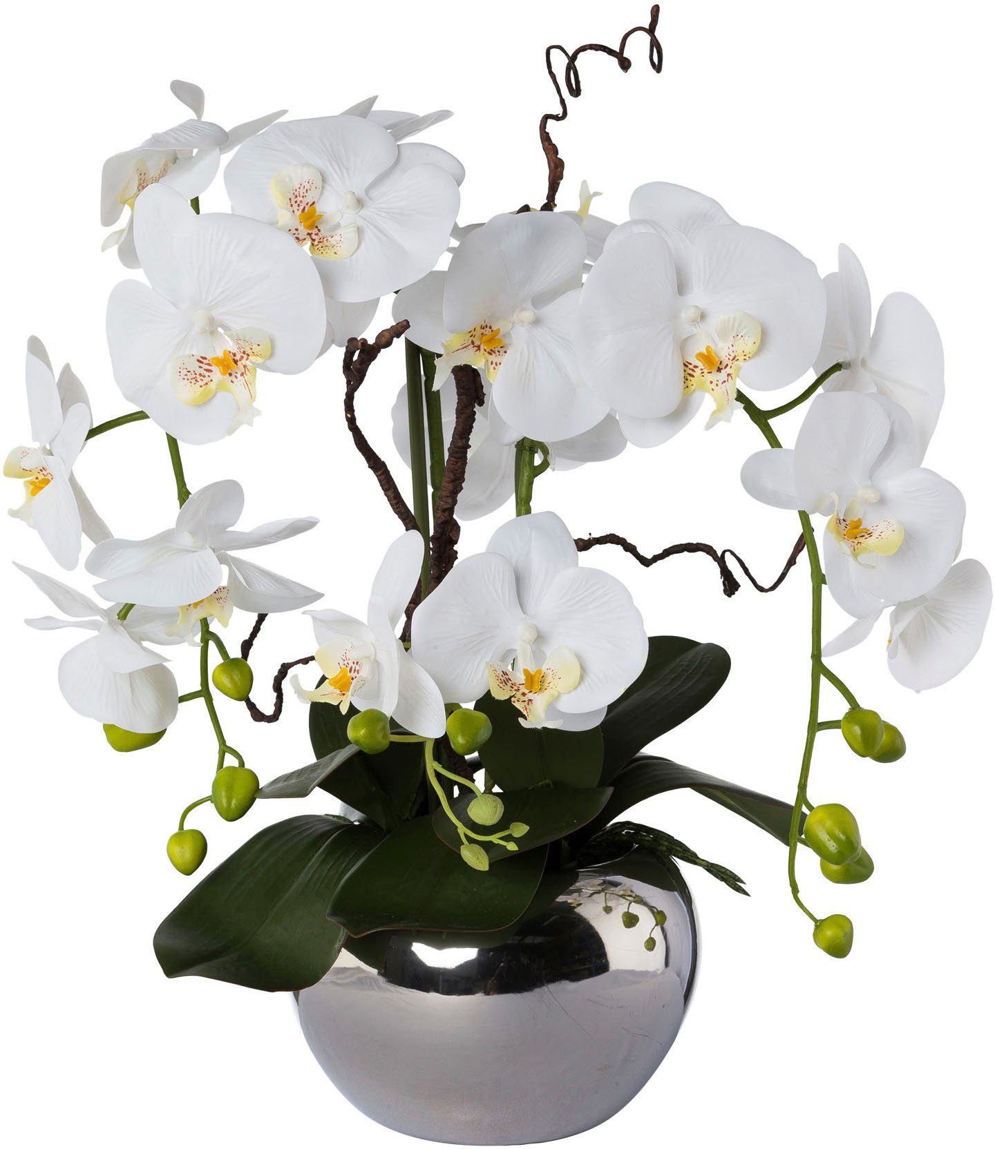 Keramiktopf Höhe Kunstorchidee 55 Phalaenopsis, im cm, green, Creativ