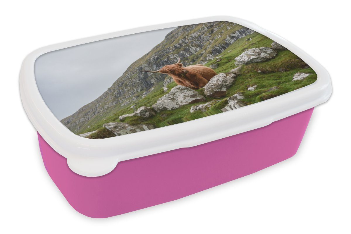 MuchoWow Lunchbox Tiere - Schottische Highlander - Schottland, Kunststoff, (2-tlg), Brotbox für Erwachsene, Brotdose Kinder, Snackbox, Mädchen, Kunststoff rosa