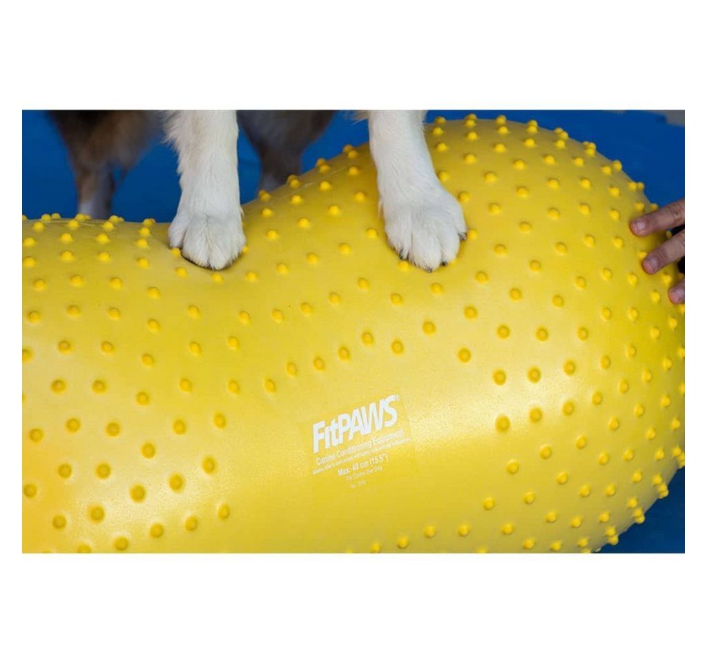 Thumbnail - FitPAWS Agility-Hürde Balance-Kissen für Hunde Trax Peanut 40 cm Gelb