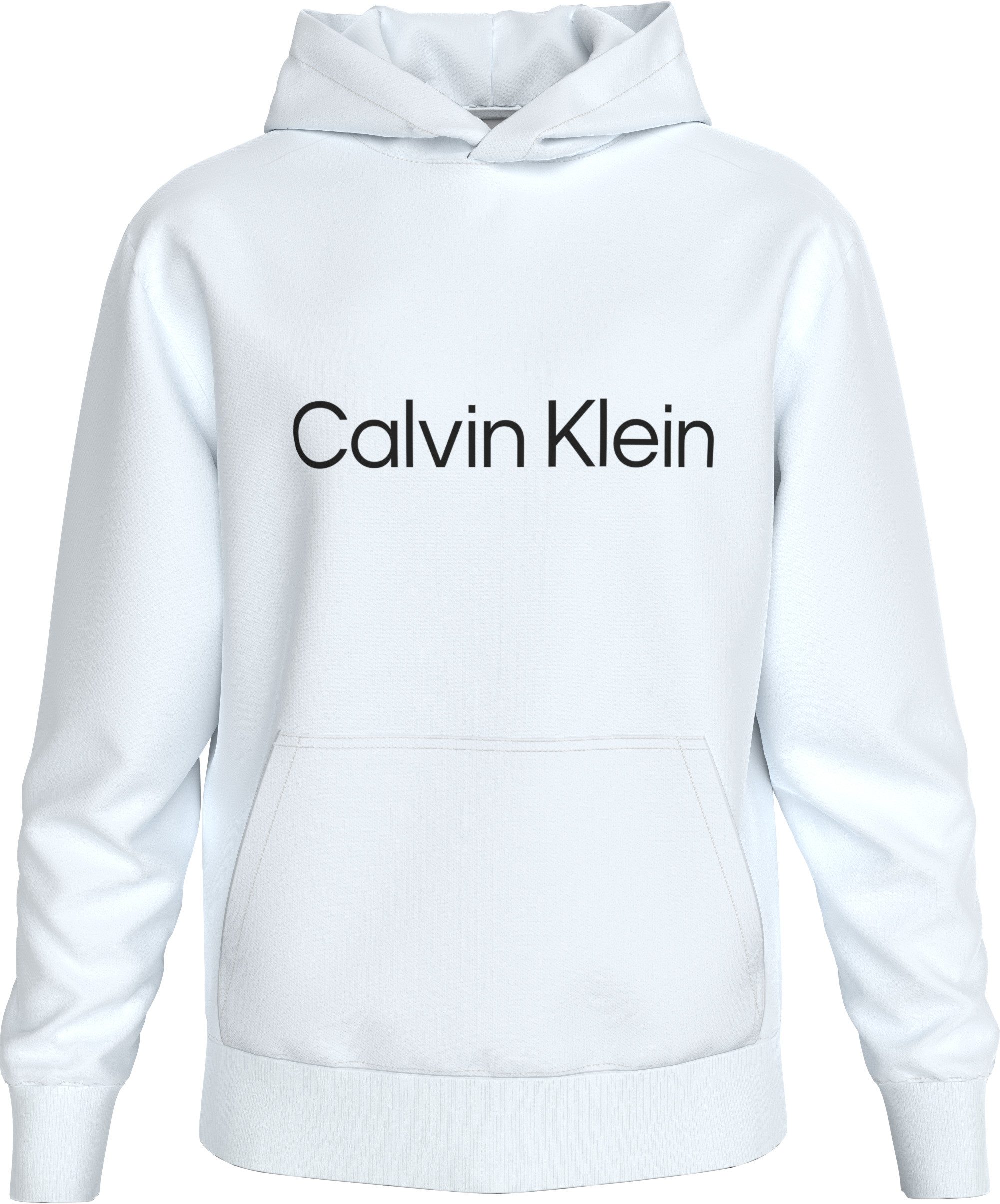 Kapuzensweatshirt LS EU STANDARD LOGO 350TERRY PO