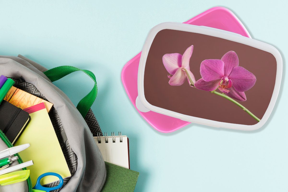 Kunststoff Rosa, Kinder, Orchideen Kunststoff, Erwachsene, Brotbox Mädchen, Snackbox, Blumen Lunchbox - (2-tlg), - Brotdose für MuchoWow