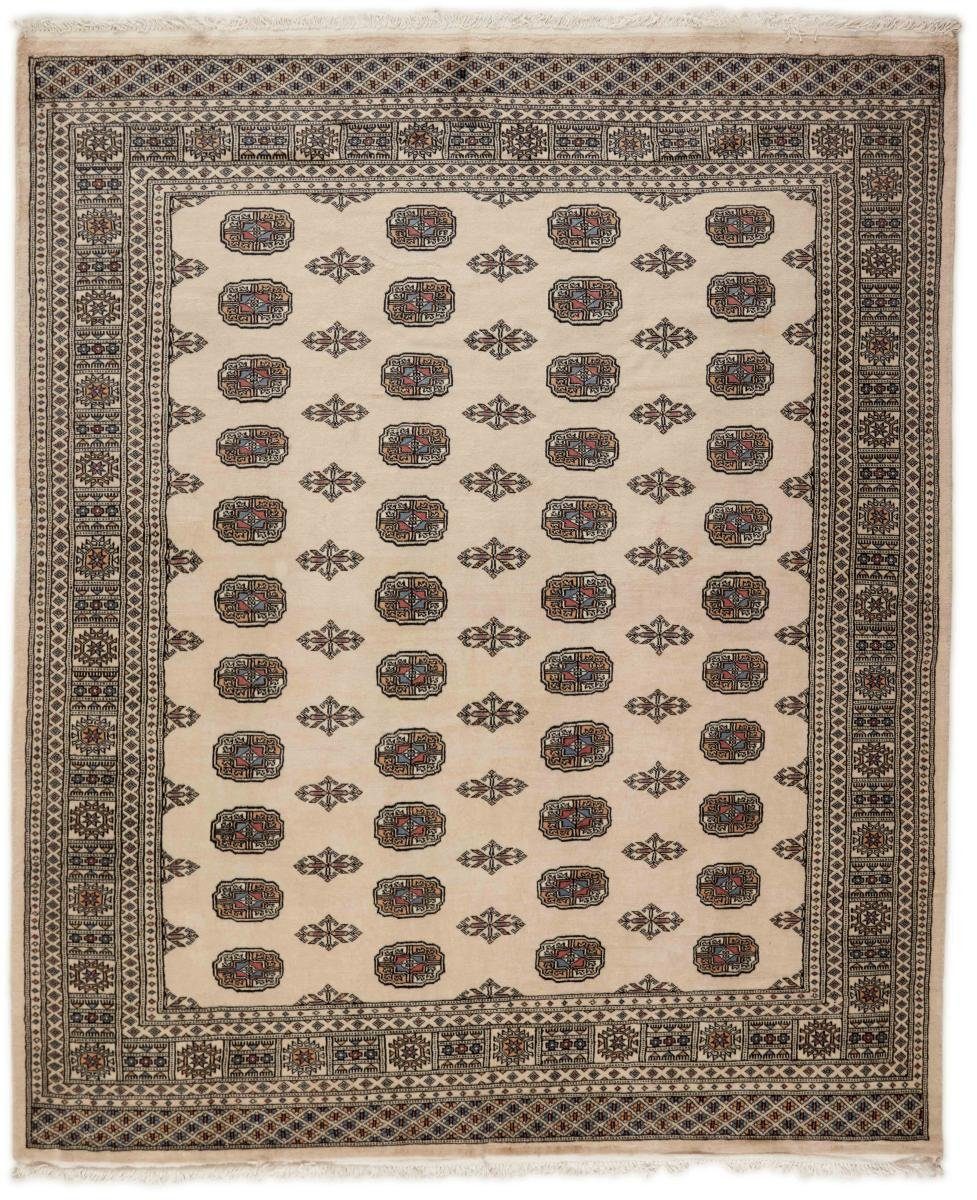 Orientteppich Pakistan Buchara 2ply 208x250 Handgeknüpfter Orientteppich, Nain Trading, rechteckig, Höhe: 8 mm