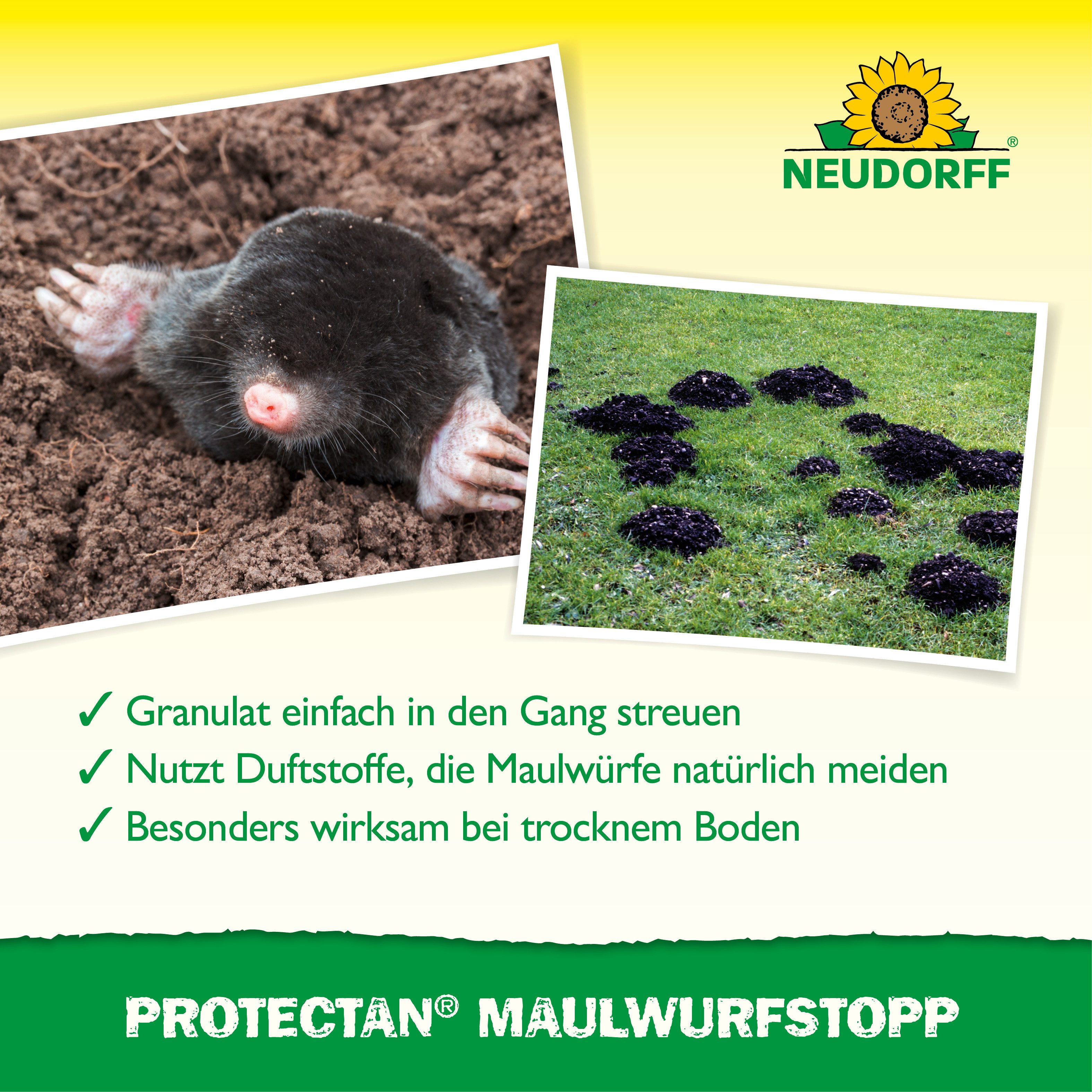 Neudorff Vergrämungsmittel Protectan MaulwurfStopp 200 g, Geruchsbasiertes Fernhaltegranulat für Maulwürfe, 200 g für bis zu 100 m Gangsystem, Geruchsbasierte A – Bild 4 von 5