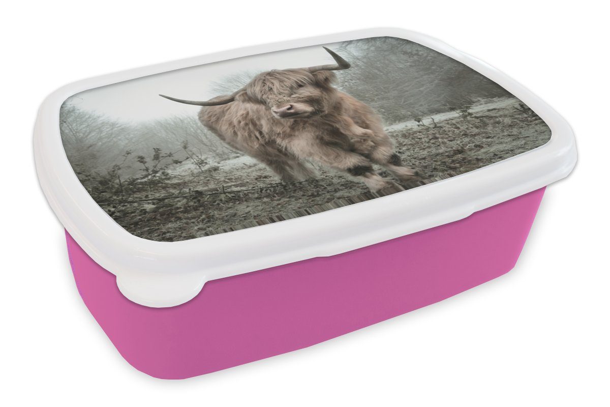 MuchoWow Lunchbox Schottische Highlander - Natur - Herbst - Tiere - Wildtiere - Wald, Kunststoff, (2-tlg), Brotbox für Erwachsene, Brotdose Kinder, Snackbox, Mädchen, Kunststoff rosa