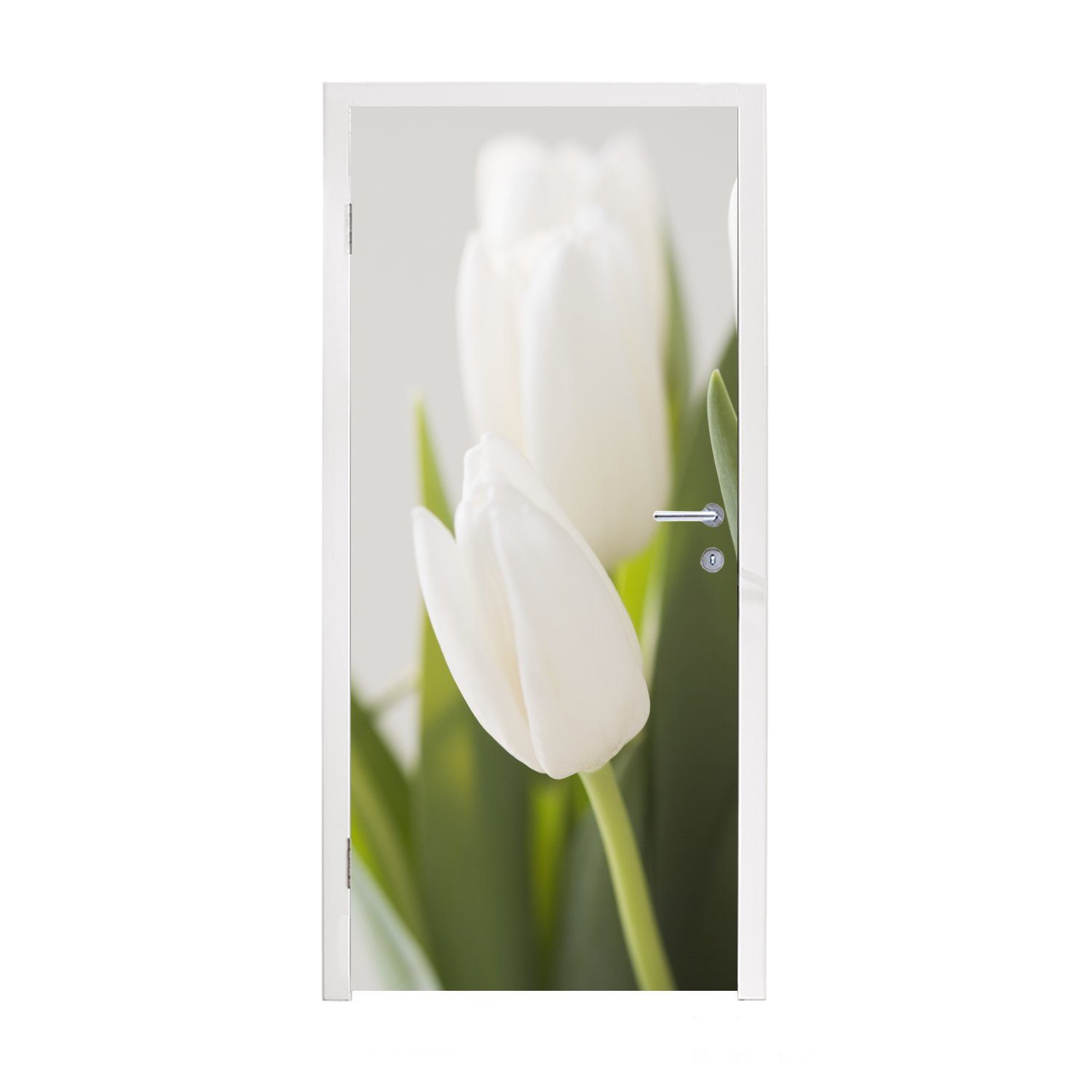 MuchoWow Türtapete Bild von mehreren Tulpen, Matt, bedruckt, (1 St), Fototapete für Tür, Türaufkleber, 75x205 cm