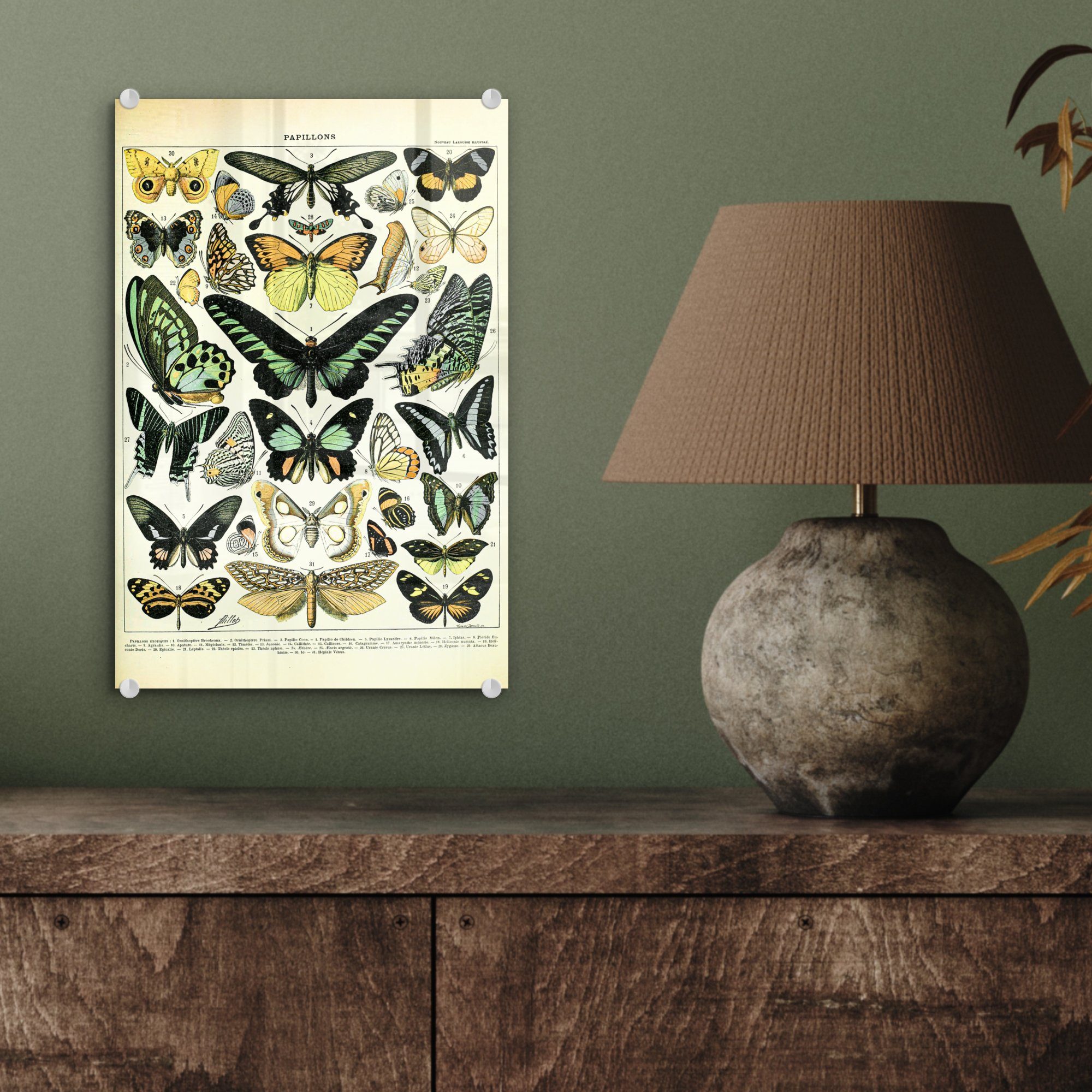 MuchoWow Acrylglasbild Tiere - Schmetterlinge Wanddekoration Glas Wandbild Bilder Glasbilder - - Glas - Foto Grün, (1 auf auf St), 