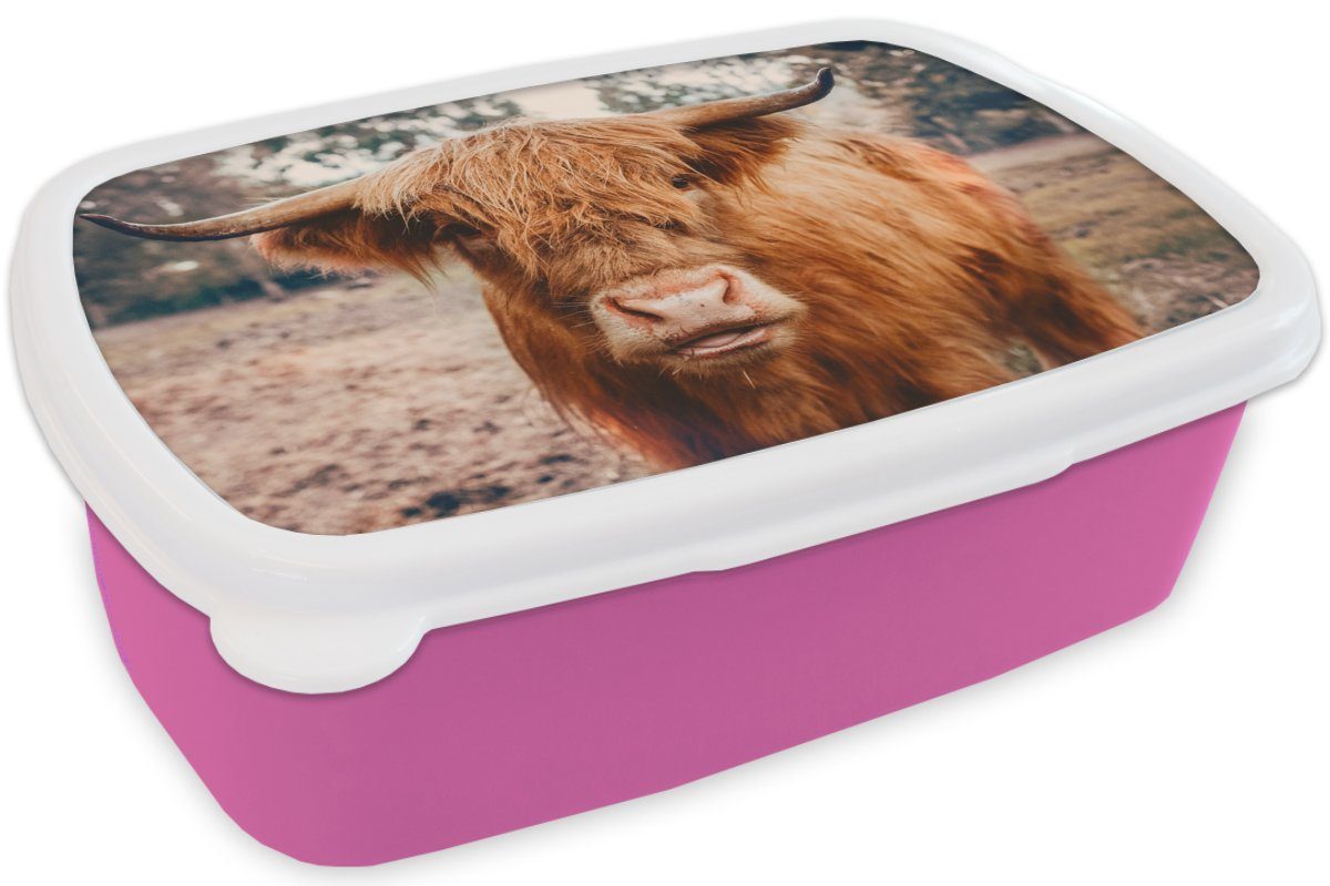 MuchoWow Lunchbox Kuh Hochländer Snackbox, (2-tlg), Schottischer Kinder, Kunststoff, Erwachsene, - rosa für Brotbox Landschaft, Mädchen, - Hörner Braun - Kunststoff Brotdose 