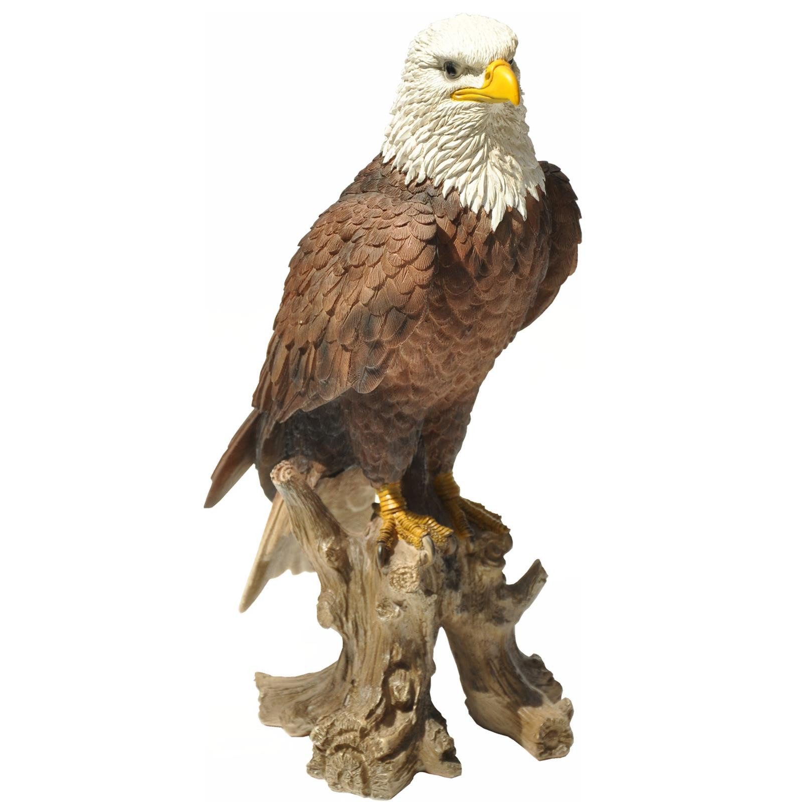 dazikemo Gartenfigur Dekofigur Gartenfigur Weißkopfseeadler günstig online kaufen