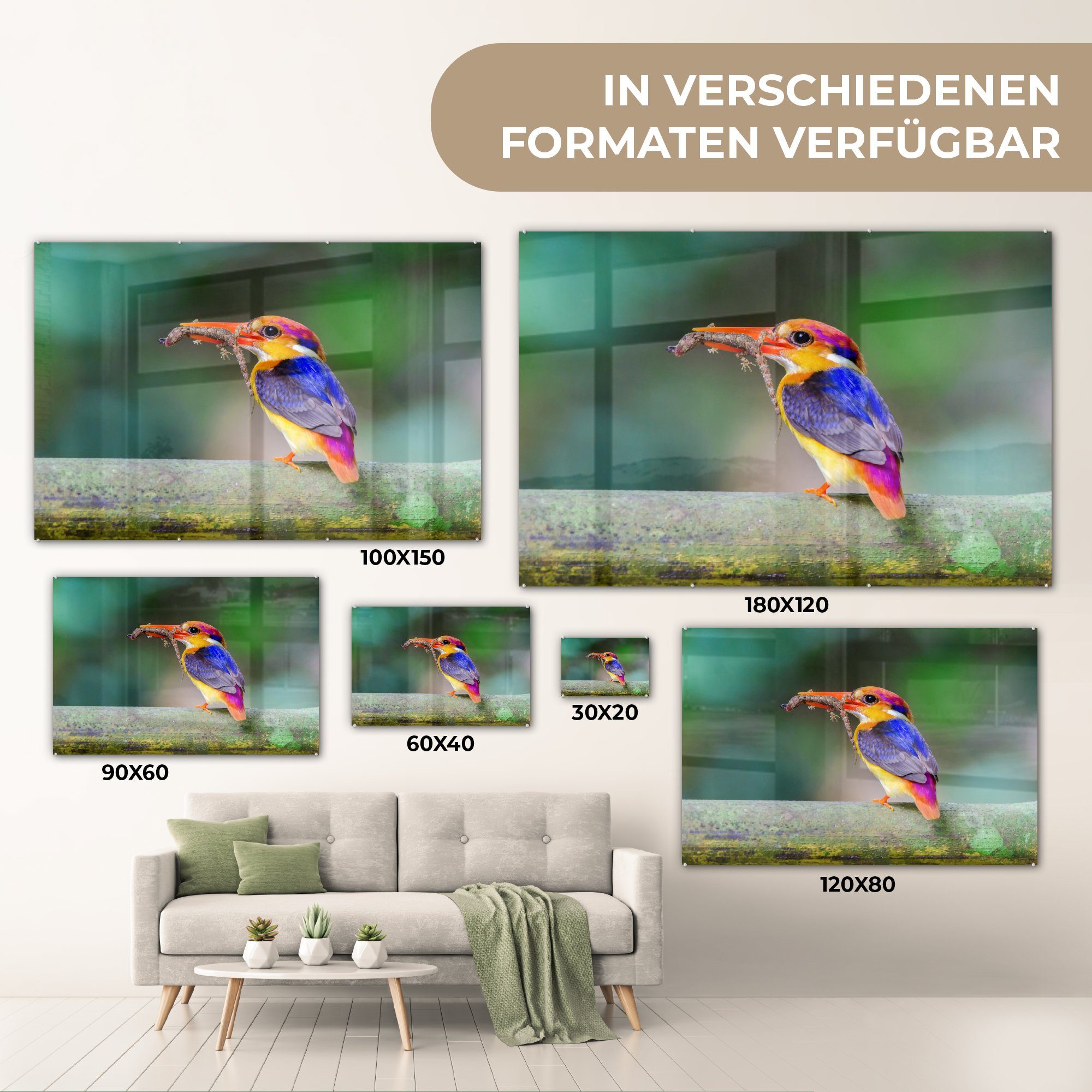 Eidechse Eisvogel - & Wohnzimmer Äste, MuchoWow Schlafzimmer Acrylglasbild St), (1 Acrylglasbilder -