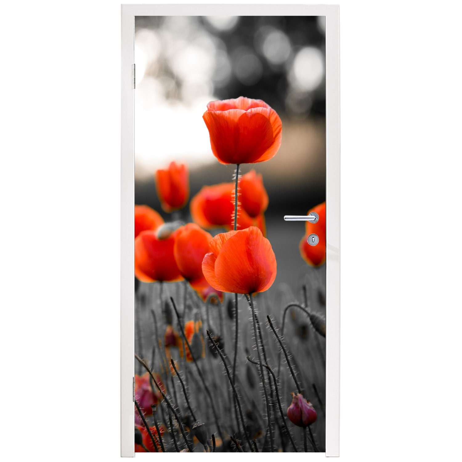Matt, Mohnblumen weißem Hintergrund, Türtapete und MuchoWow St), 75x205 (1 für Tür, schwarzem Fototapete Rote cm vor bedruckt, Türaufkleber,