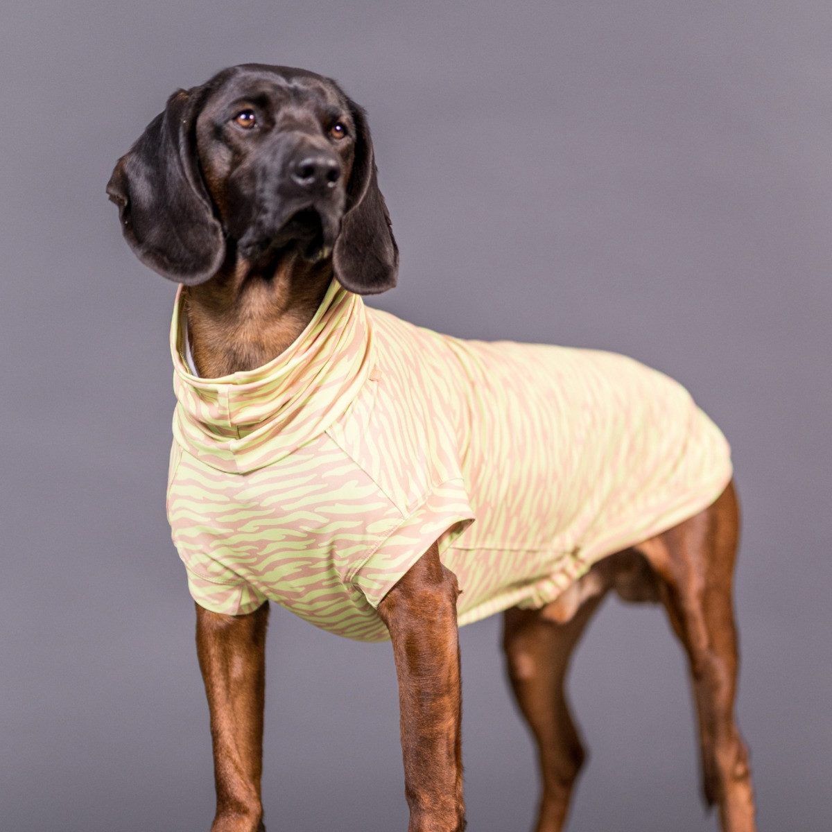 PAIKKA Hundeshirt Hundeshirt Sonnenschutz/Antiparasit "UV & Bug Shirt" matcha