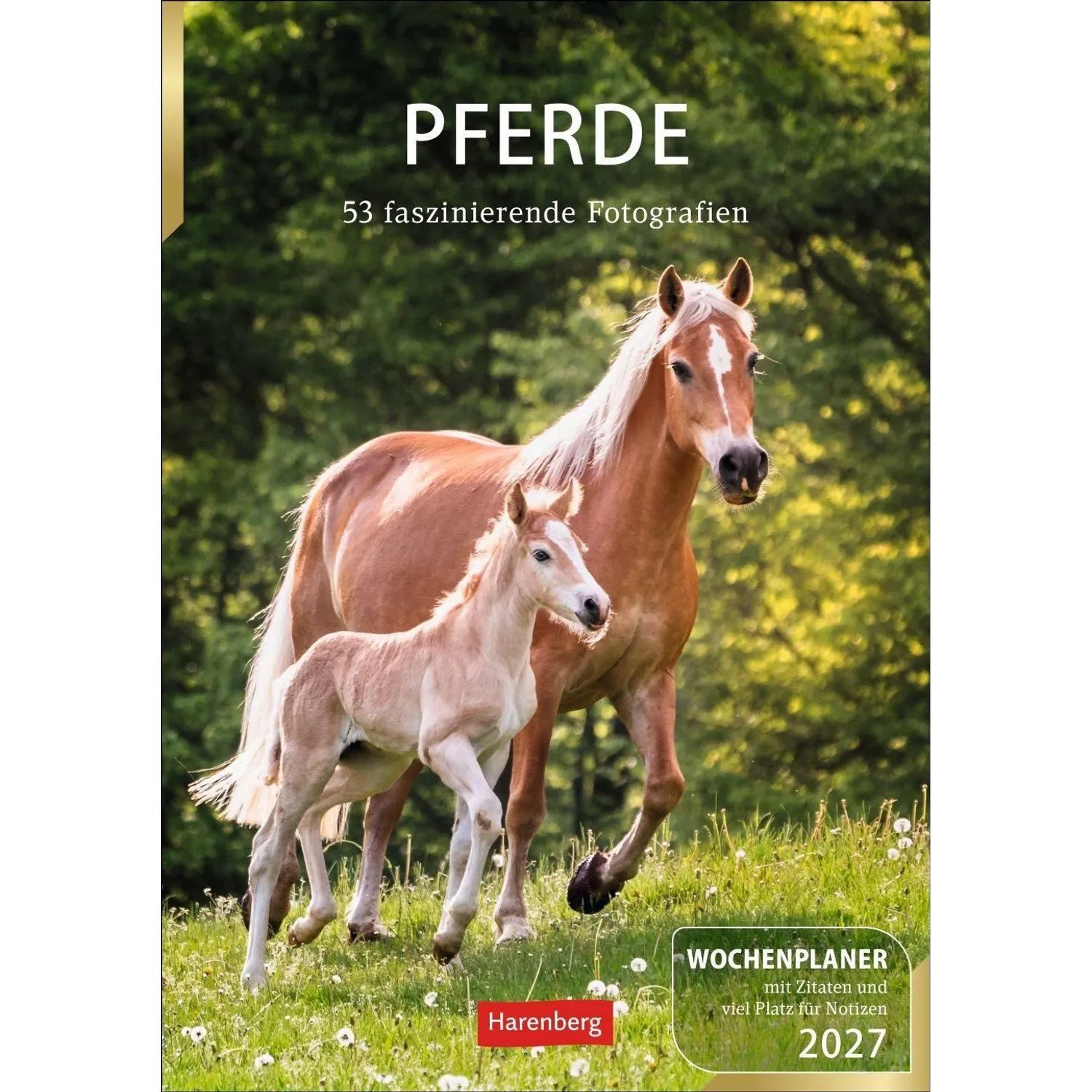 Harenberg Kalender Verlag Wandkalender Pferde Wochenplaner 2027 - 53 faszinierende Fotografien