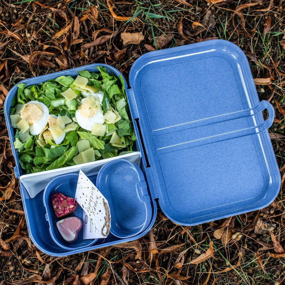 Pascal Lunchbox Mini KOZIOL Organic Blue, Kunststoff, (1-tlg)