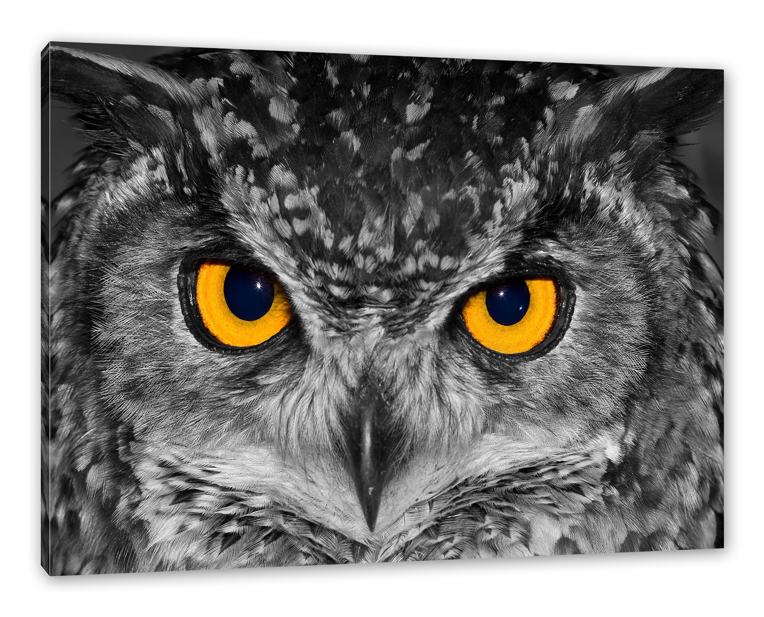 Pixxprint Leinwandbild Eule mit Augen, Eule mit Augen (1 St), Leinwandbild fertig bespannt, inkl. Zackenaufhänger | Leinwandbilder