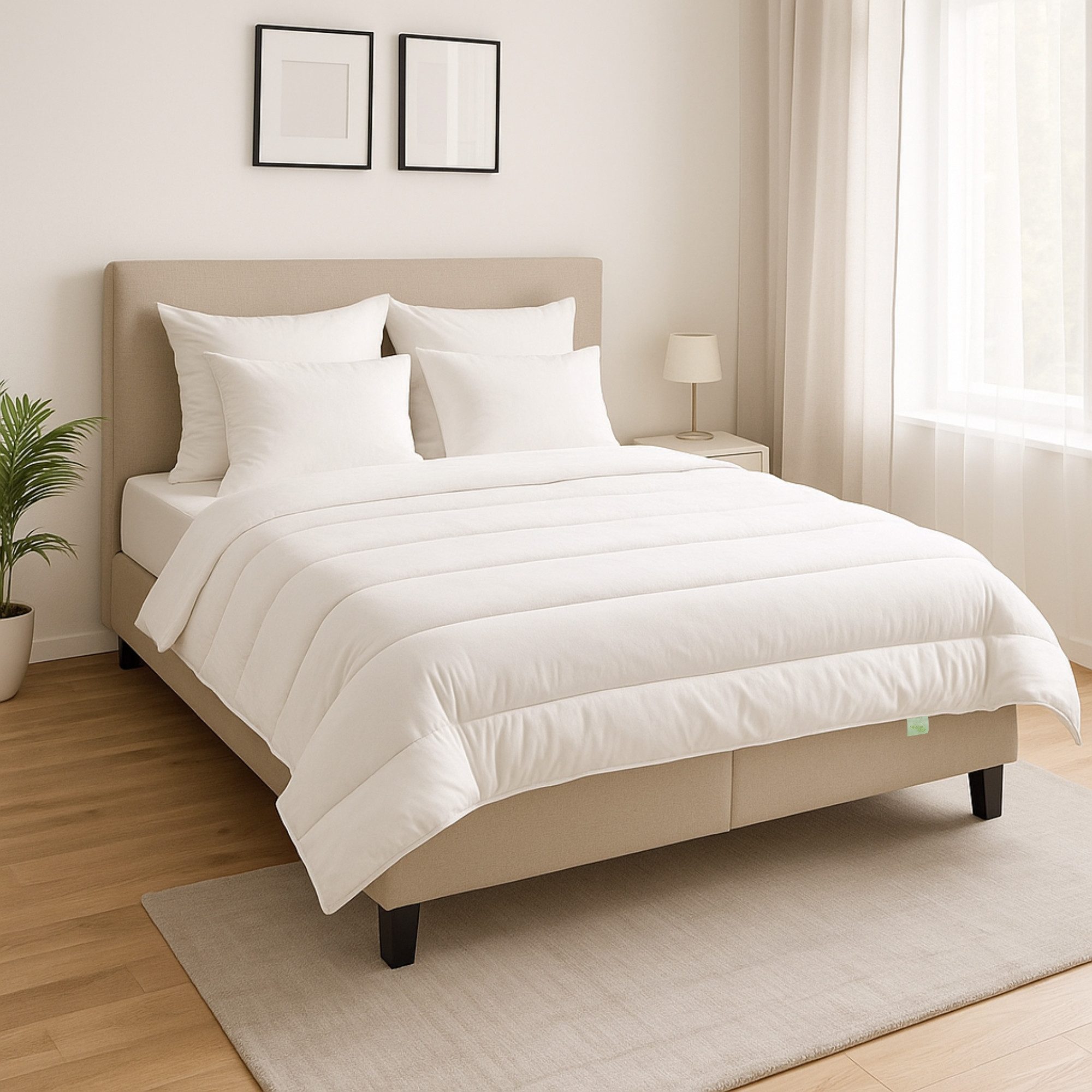 Dreamstar Microfaserbettdecke + Kopfkissen Eco, Bettdecke 135x200 oder 155x günstig online kaufen