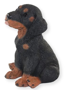 Castagna Dekofigur Deko Figur Hund Rottweiler Welpe Hundefigur sitzend Kollektion Castagna aus Resin Höhe 23 cm