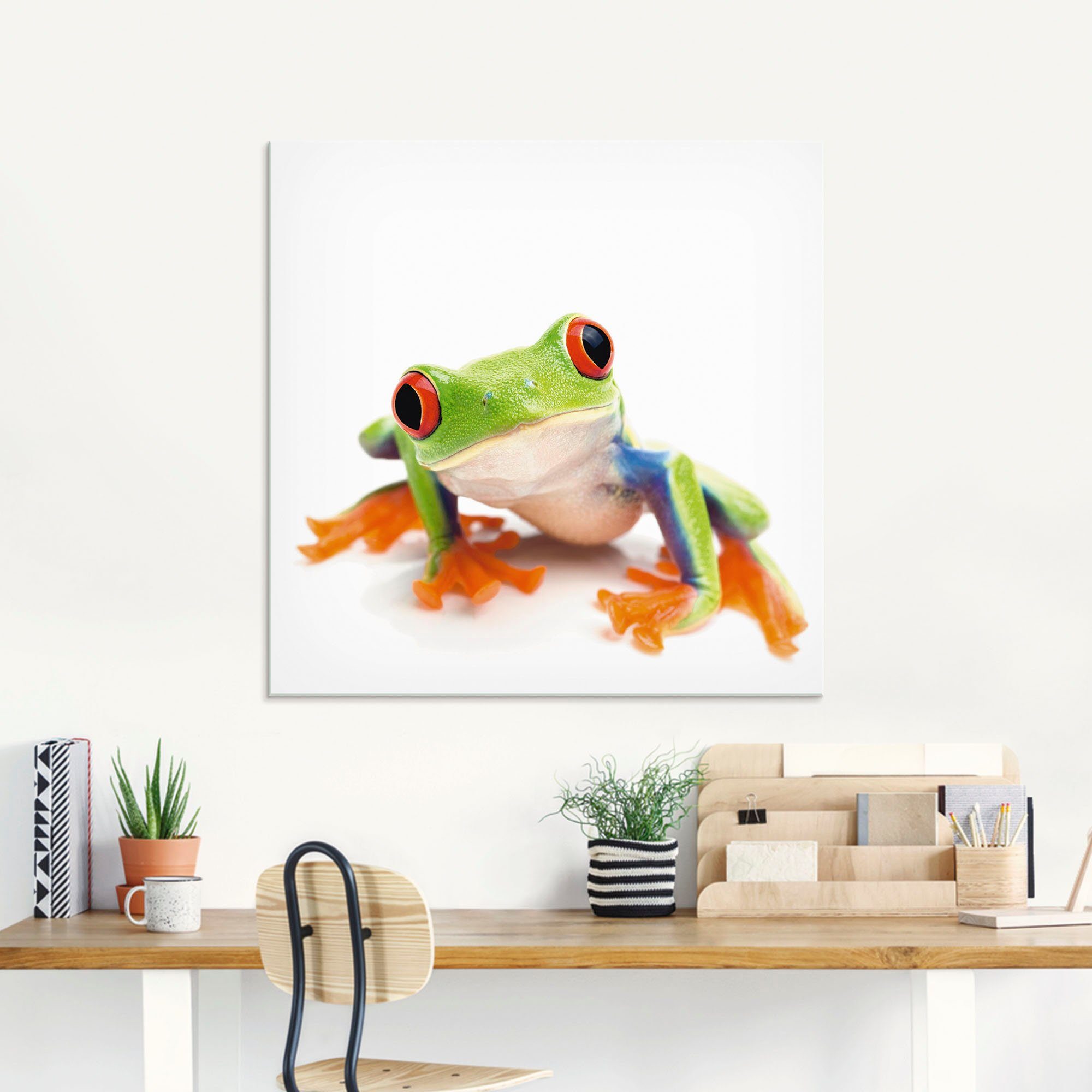 Artland Glasbild Großaufnahme eines Frosches vor weiß, Wassertiere (1 St), in verschiedenen Größen