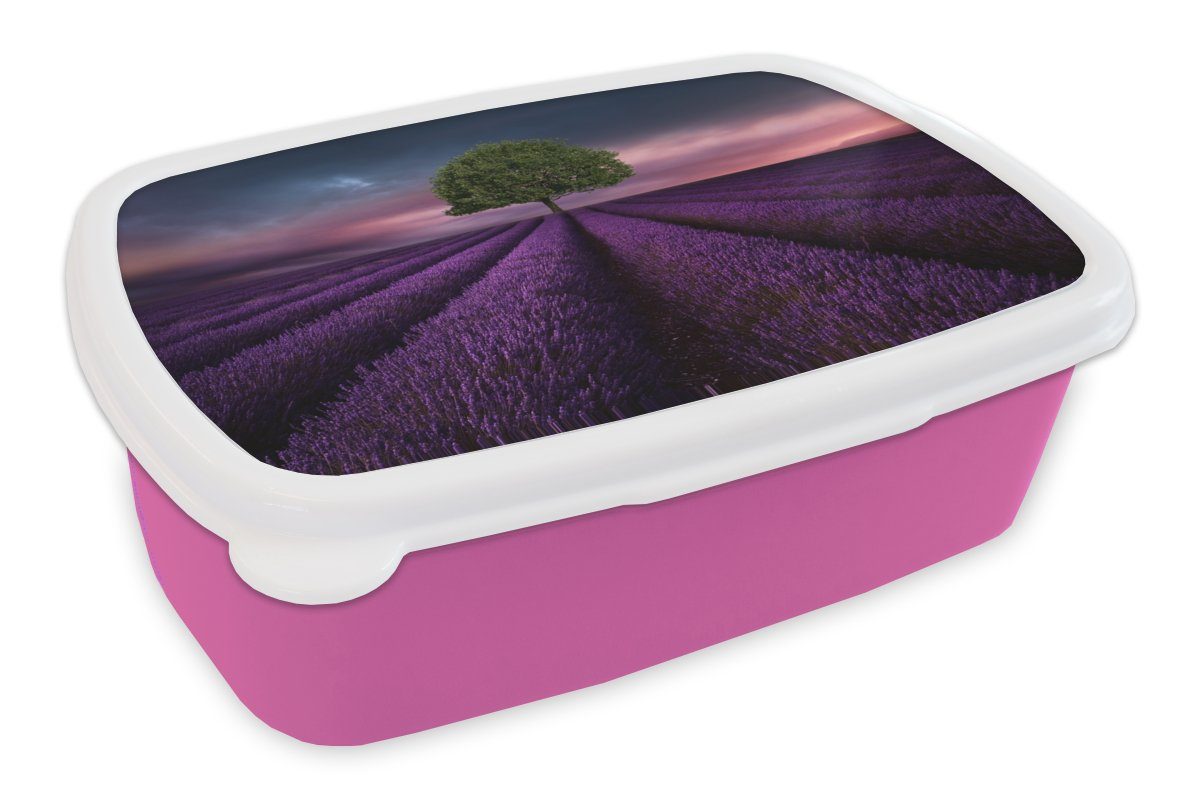 MuchoWow Lunchbox Lavendel - Baum - Lila, Kunststoff, (2-tlg), Brotbox für Erwachsene, Brotdose Kinder, Snackbox, Mädchen, Kunststoff rosa