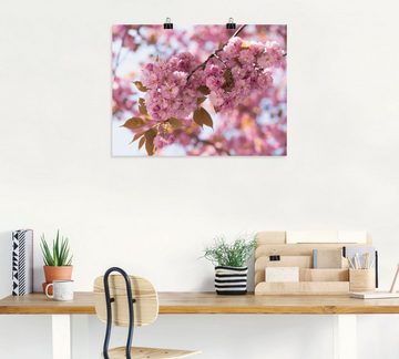 Artland Wandbild Japanische Kirschblüte in Love I, Blumen (1 St), als Leinwandbild, Poster, Wandaufkleber in verschied. Größen
