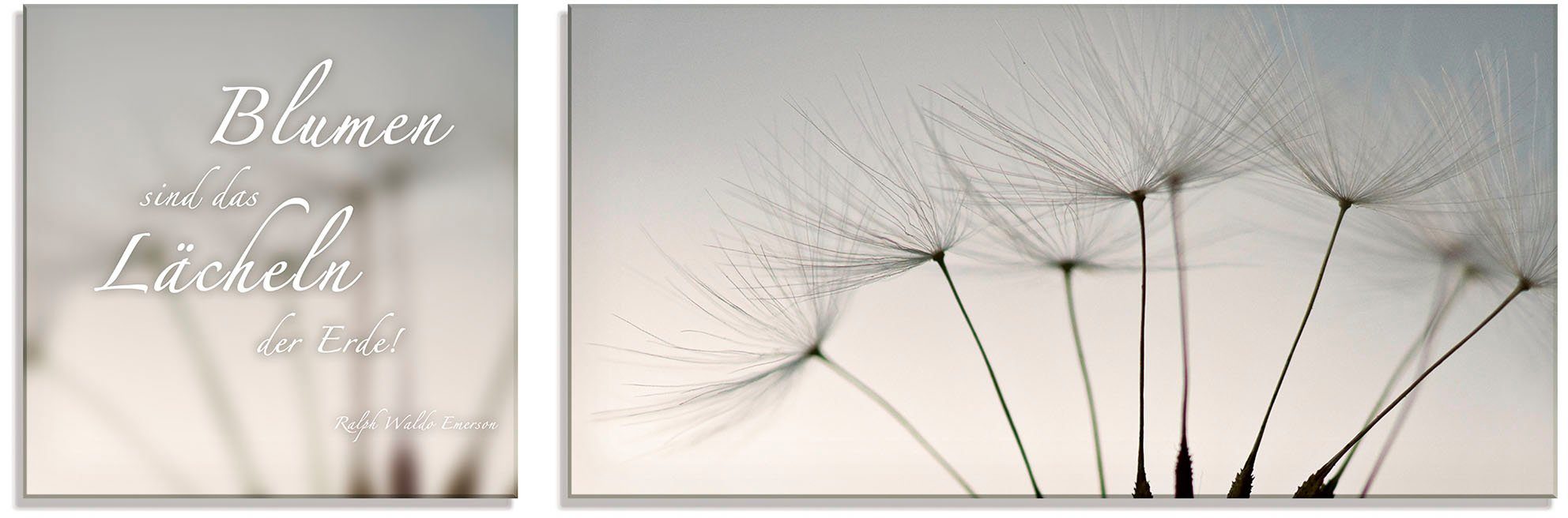 Artland Glasbild Zitatenbild, Pusteblumen-Samen, Sprüche & Texte (2 St), in verschiedenen Größen | Bilder
