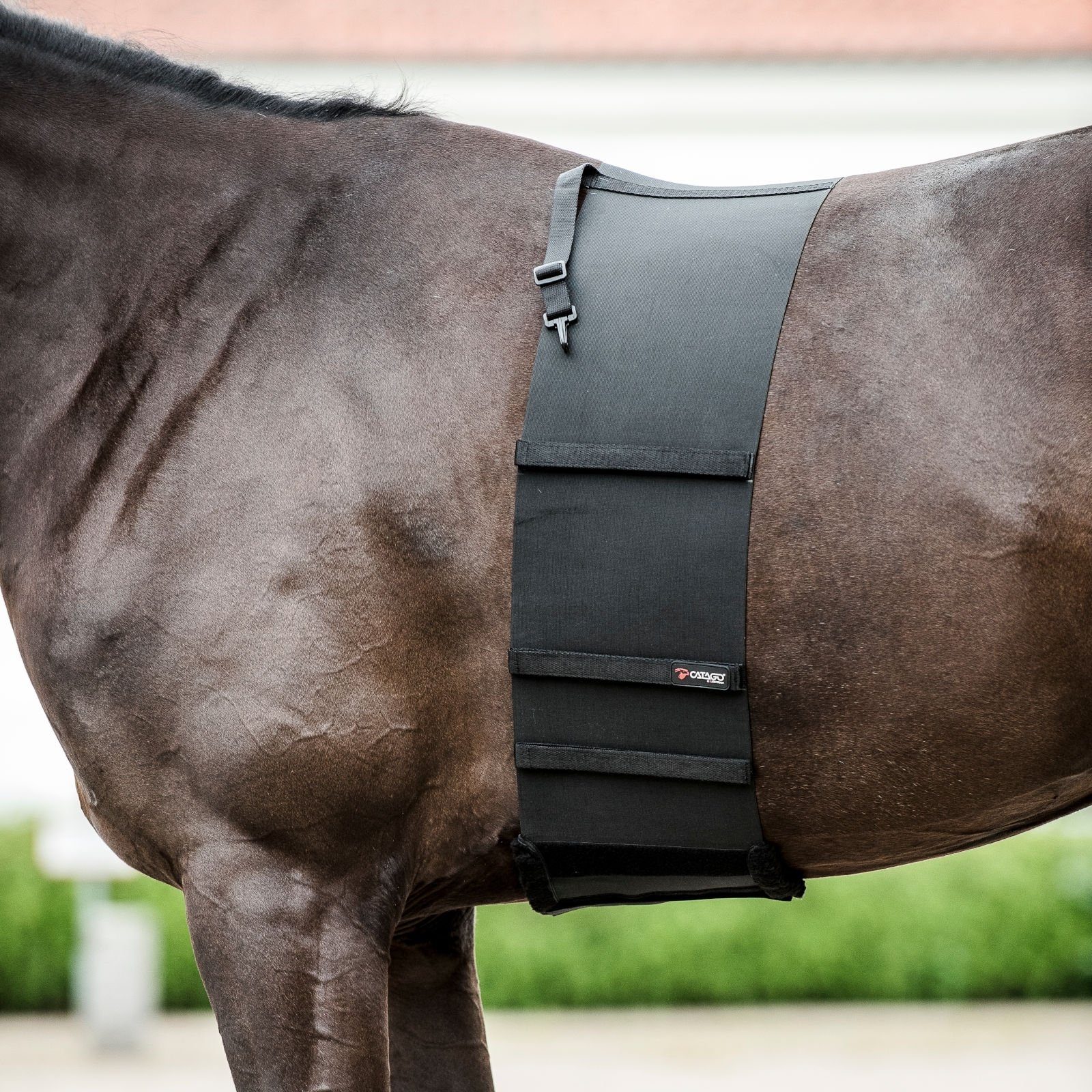 CATAGO Pferdebandage Body Shield - Körperschutz für Pferde - Schwarz