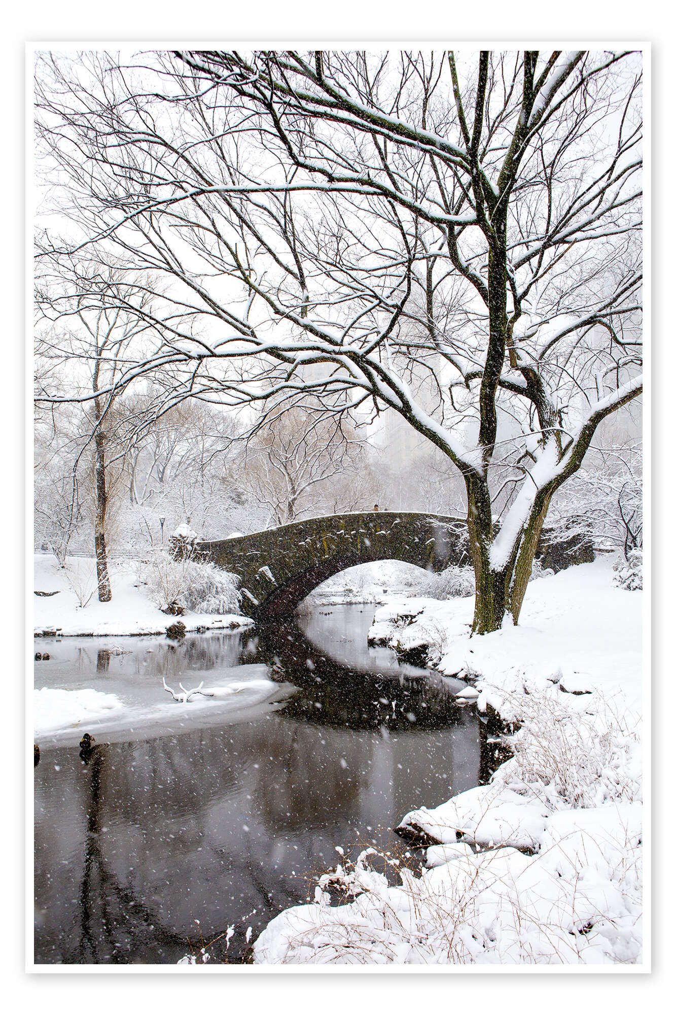 Posterlounge Poster Editors Choice, Winter in New York, Wohnzimmer Fotografie