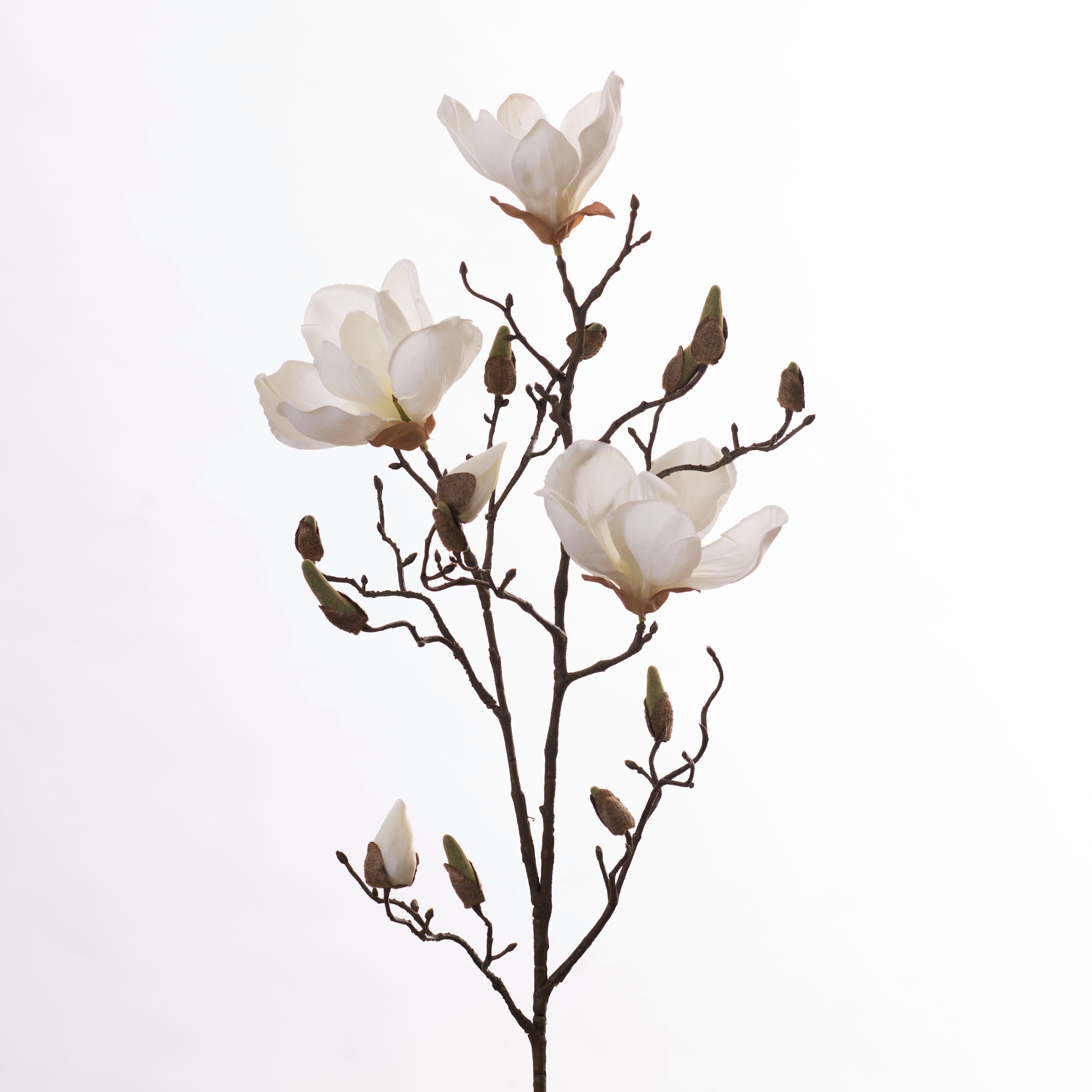 Kunstblume Kunst-Stielblume Magnolienzweig -Blüten und Knospen –Höhe 86 cm –Weiß, Goods NL, Höhe 86 cm