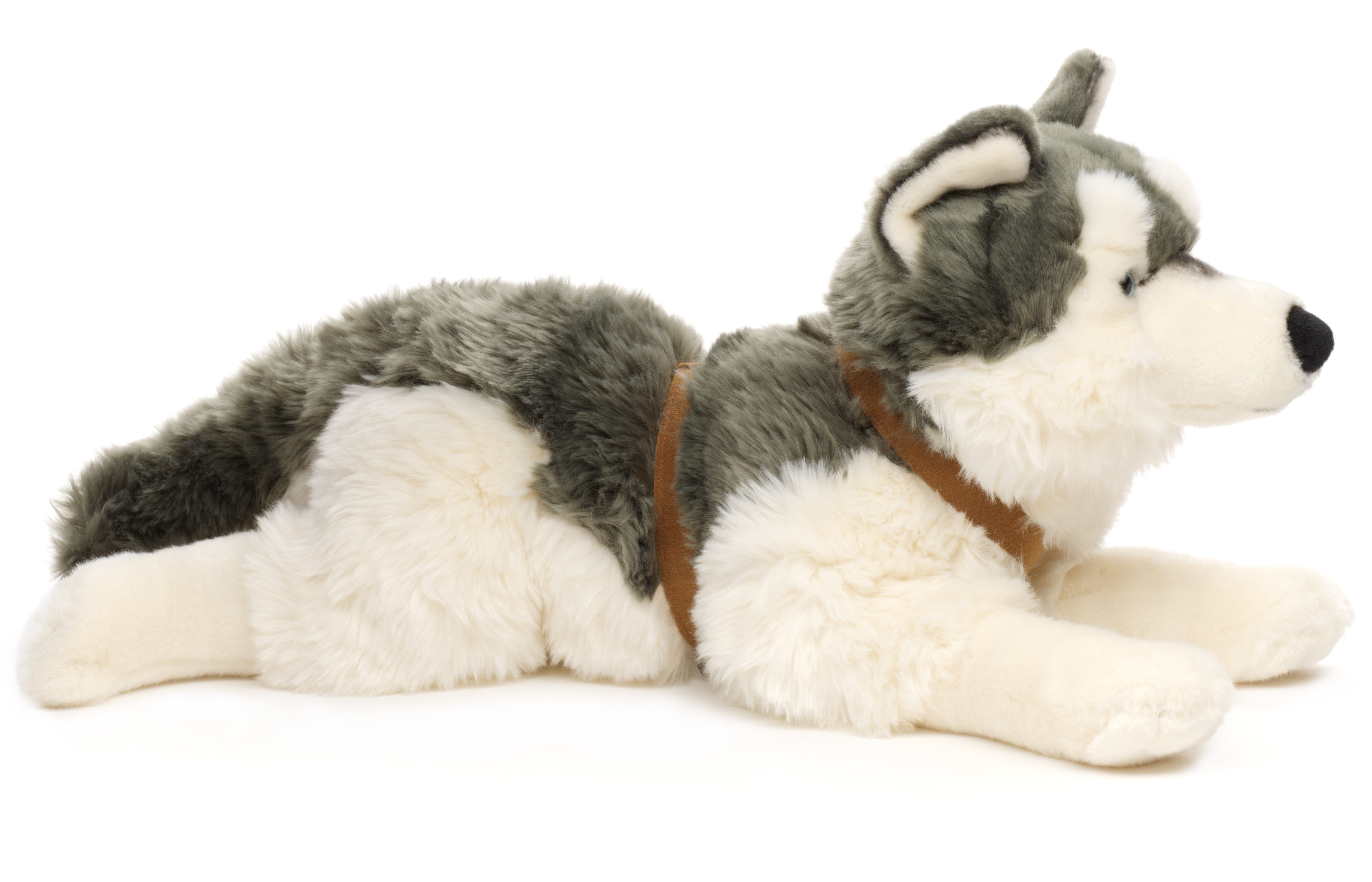 Uni-Toys Kuscheltier Großer Husky (mit Geschirr) - 62 cm (Länge) - Plüsch-Hund - Plüschtier, zu 100 % recyceltes Füllmaterial