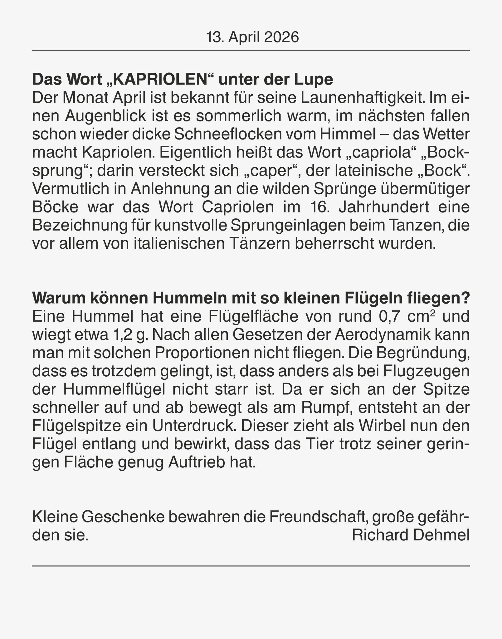 BRUNNEN Abreißkalender BRUNNEN 1070313006 Tagesabreißkalender 98x142mm Nr.13