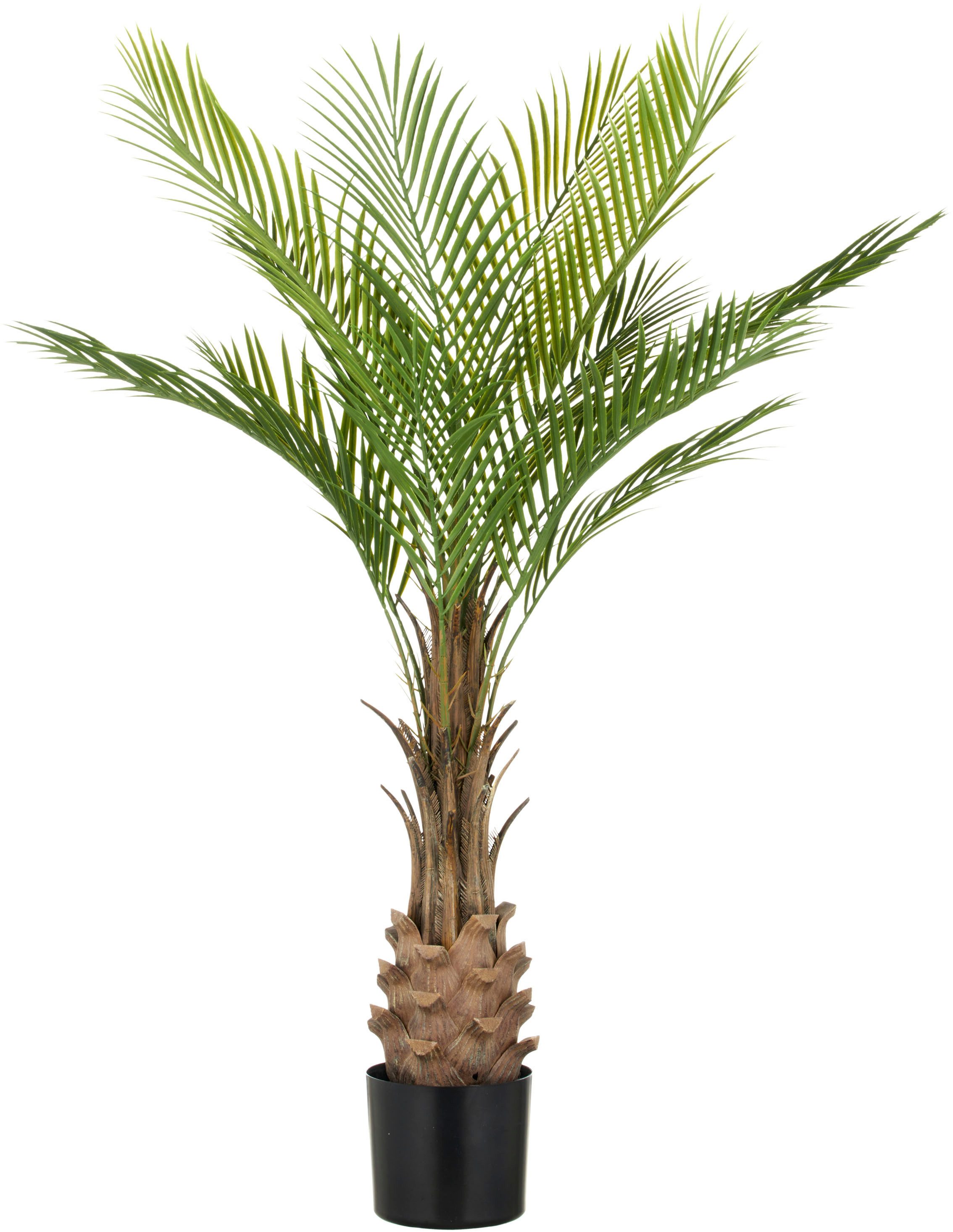 Kunstpalme Phönixpalme, Creativ green, Höhe 120 cm, mit naturgetreuen Palmw günstig online kaufen