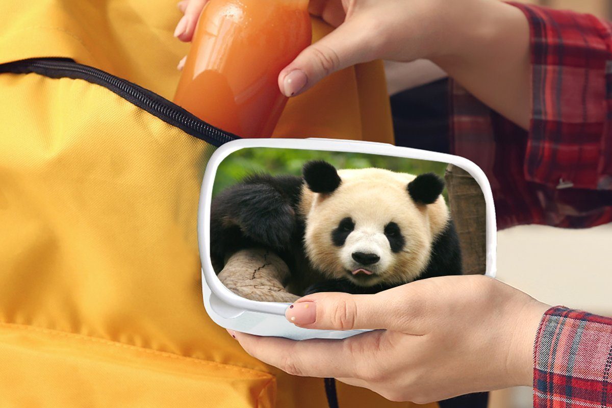 MuchoWow Lunchbox Tiere - Panda Erwachsene, für weiß Bäume, (2-tlg), und Brotbox für Jungs Mädchen und Brotdose, Kunststoff, - Kinder