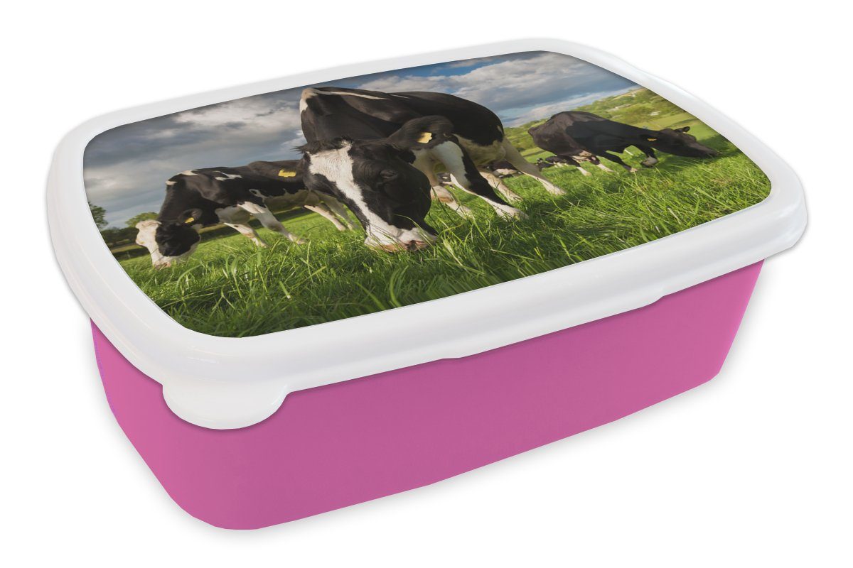 Top-Unternehmensstrategie MuchoWow Lunchbox Kühe - Snackbox, - - Gras Kinder, für Kunststoff, rosa - (2-tlg), Kunststoff Erwachsene, Brotdose Tiere Bauernhof, Wiese Brotbox Mädchen