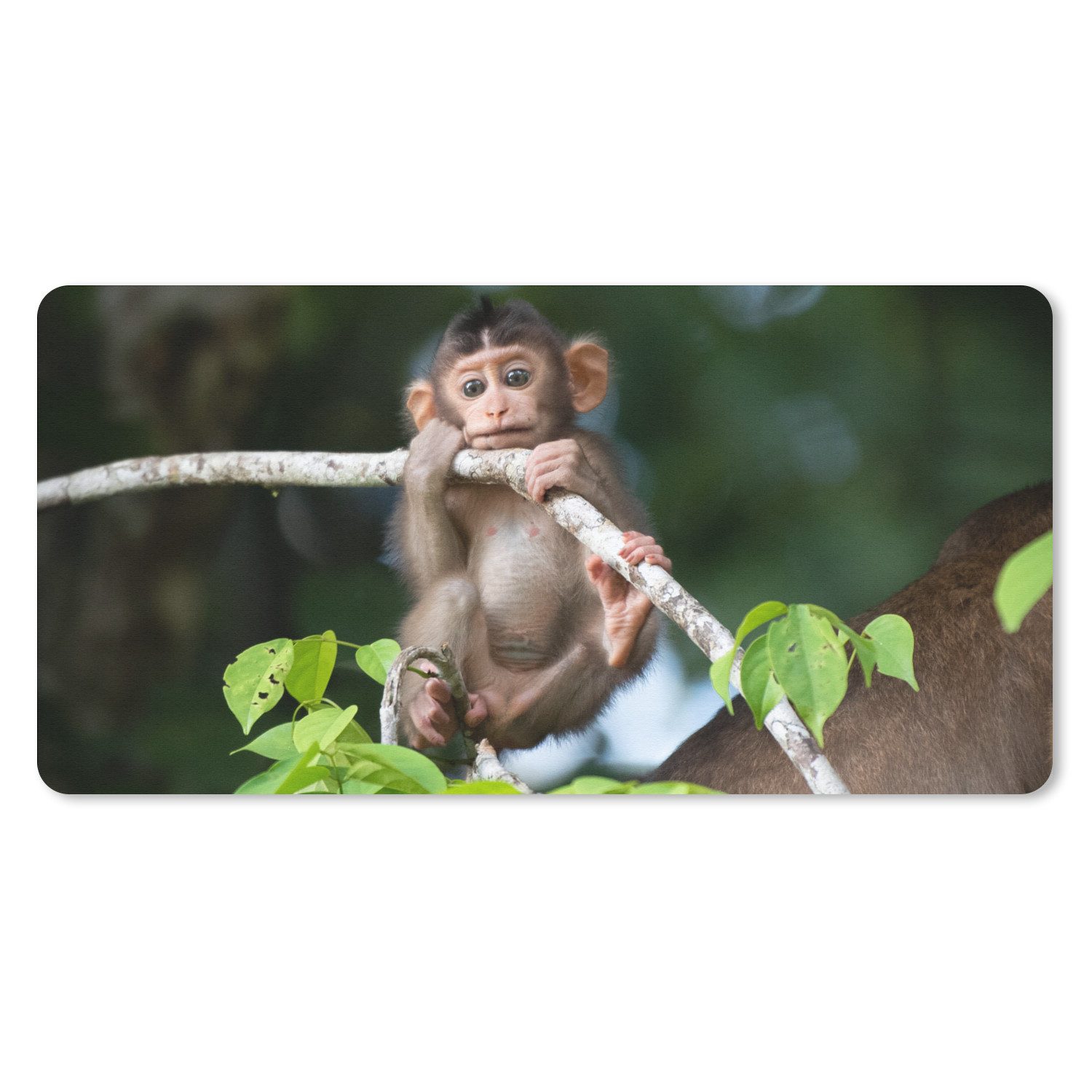 MuchoWow Mauspad Baby - Affe - Äste (1-St), Mousepad mit Rutschfester Unterseite, Mausunterlage, Gaming, 60x30 cm