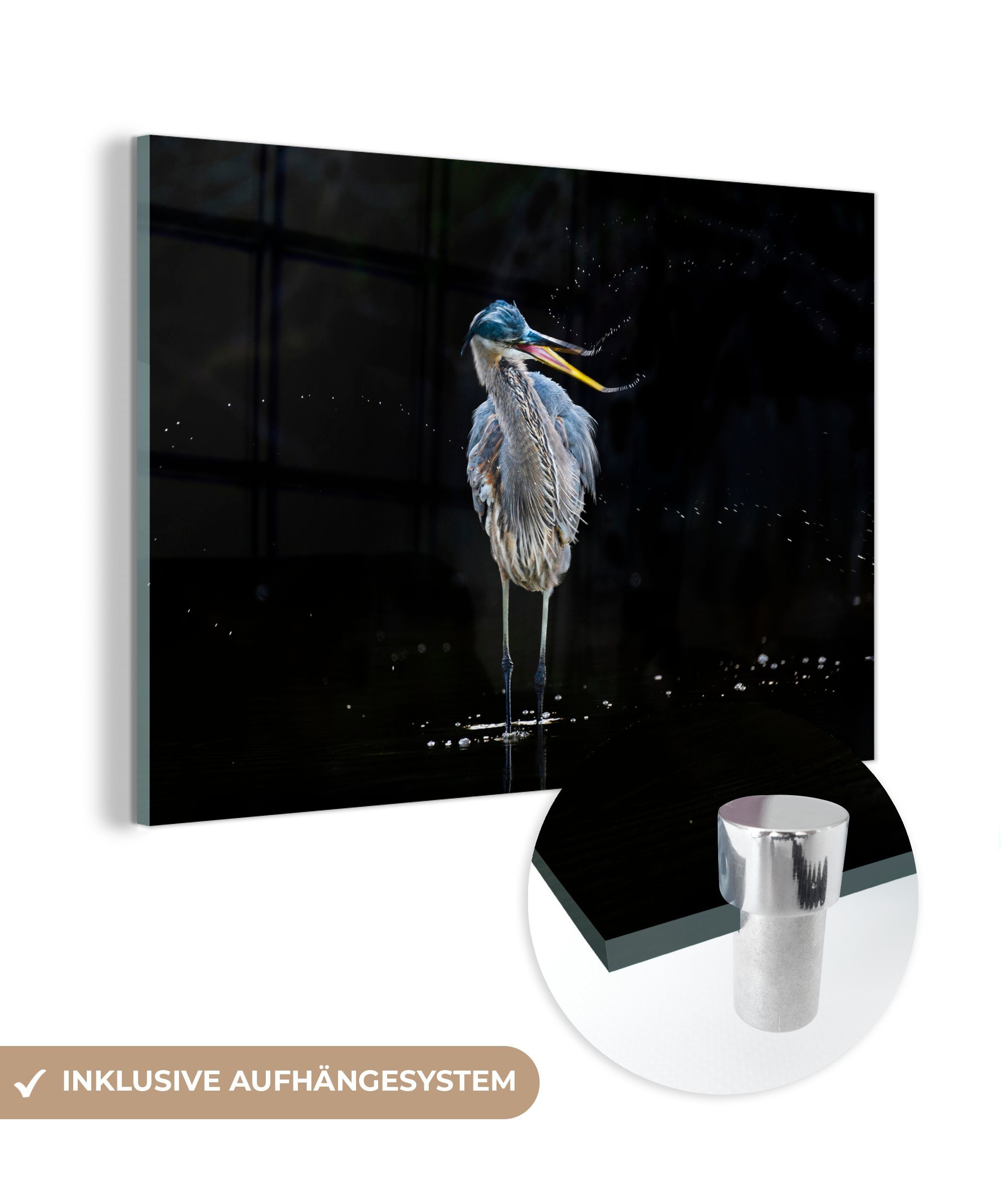 dem Graureiher (1 auf MuchoWow Acrylglasbilder St), Schlafzimmer Wasser, Wohnzimmer Acrylglasbild &