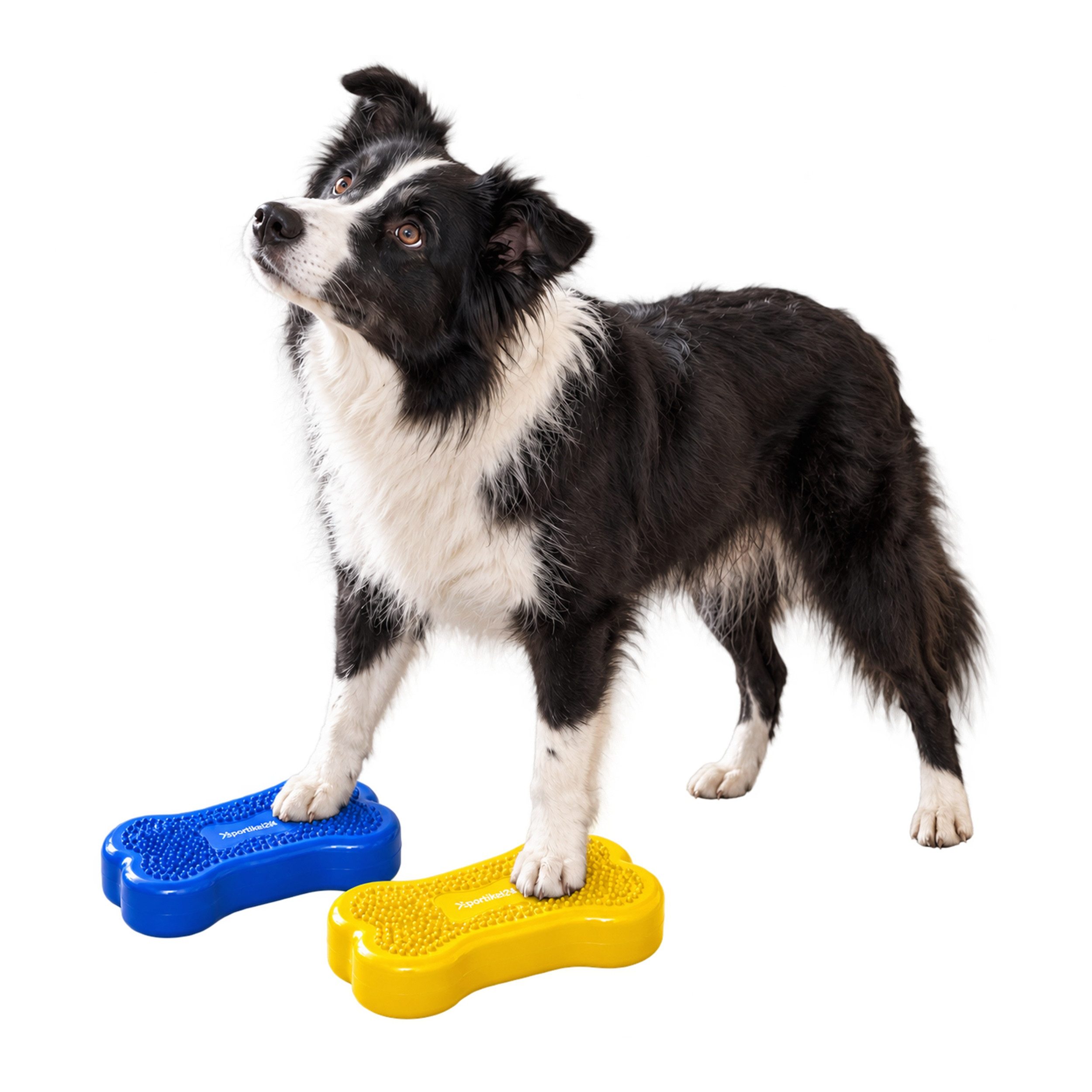 Superhund Balancetrainer 2er Balance-Knochen für Hunde – Small – Blau/Gelb – inkl. Pumpe