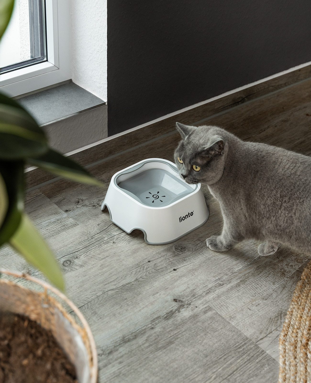 lionto Anti-Schlabber-Napf für Katzen in smartem Design, lebensmittelechter Kunststoff, rutschfest & spülmaschinengeeignet