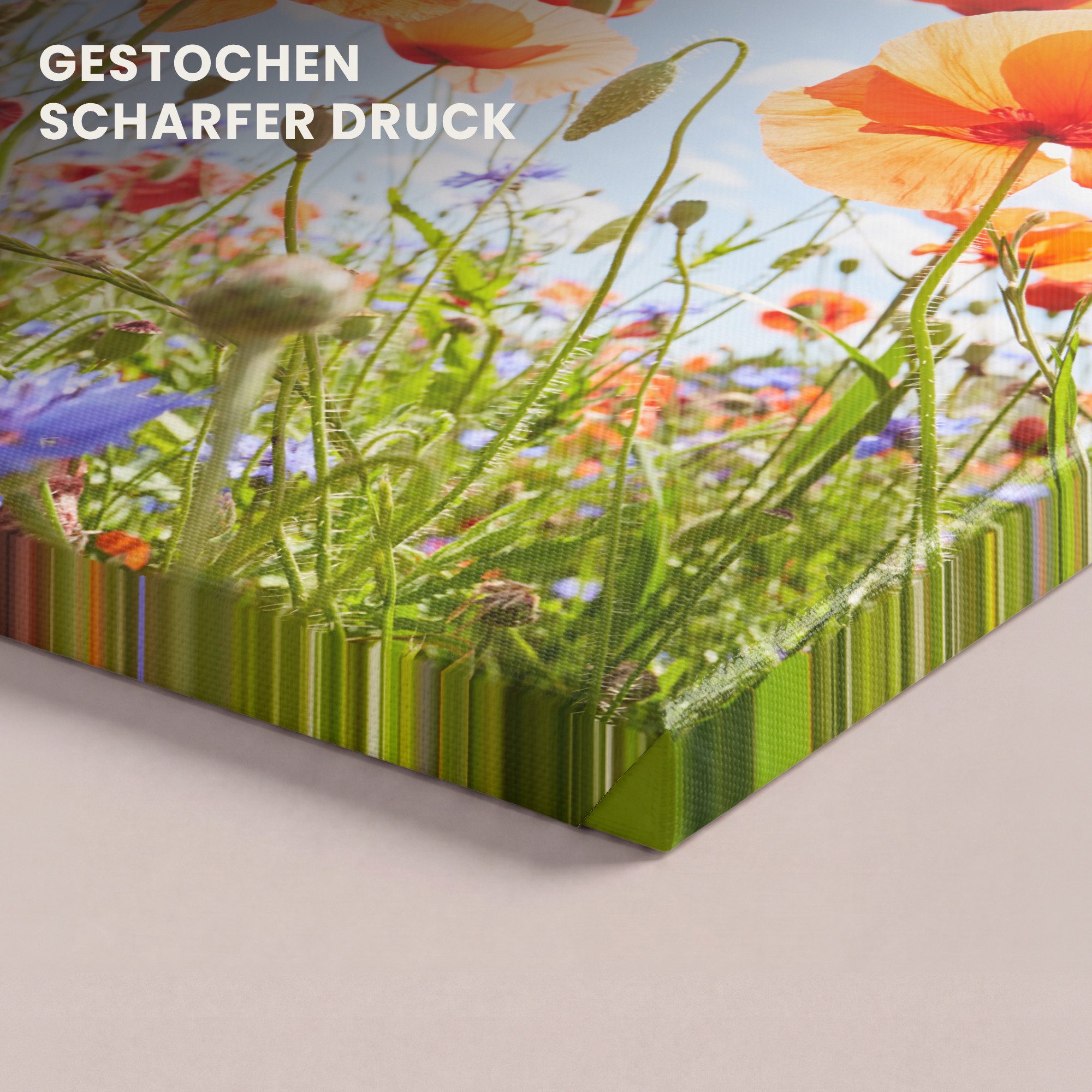 OneMillionCanvasses® Leinwandbild Blumen - Mohn - Frühling - Natur - Rot - Blau, Fotodruck (1 St), Wandbild, Deko Schlafzimmer Wohnzimmer Flur 20x20 cm – Bild 3 von 5