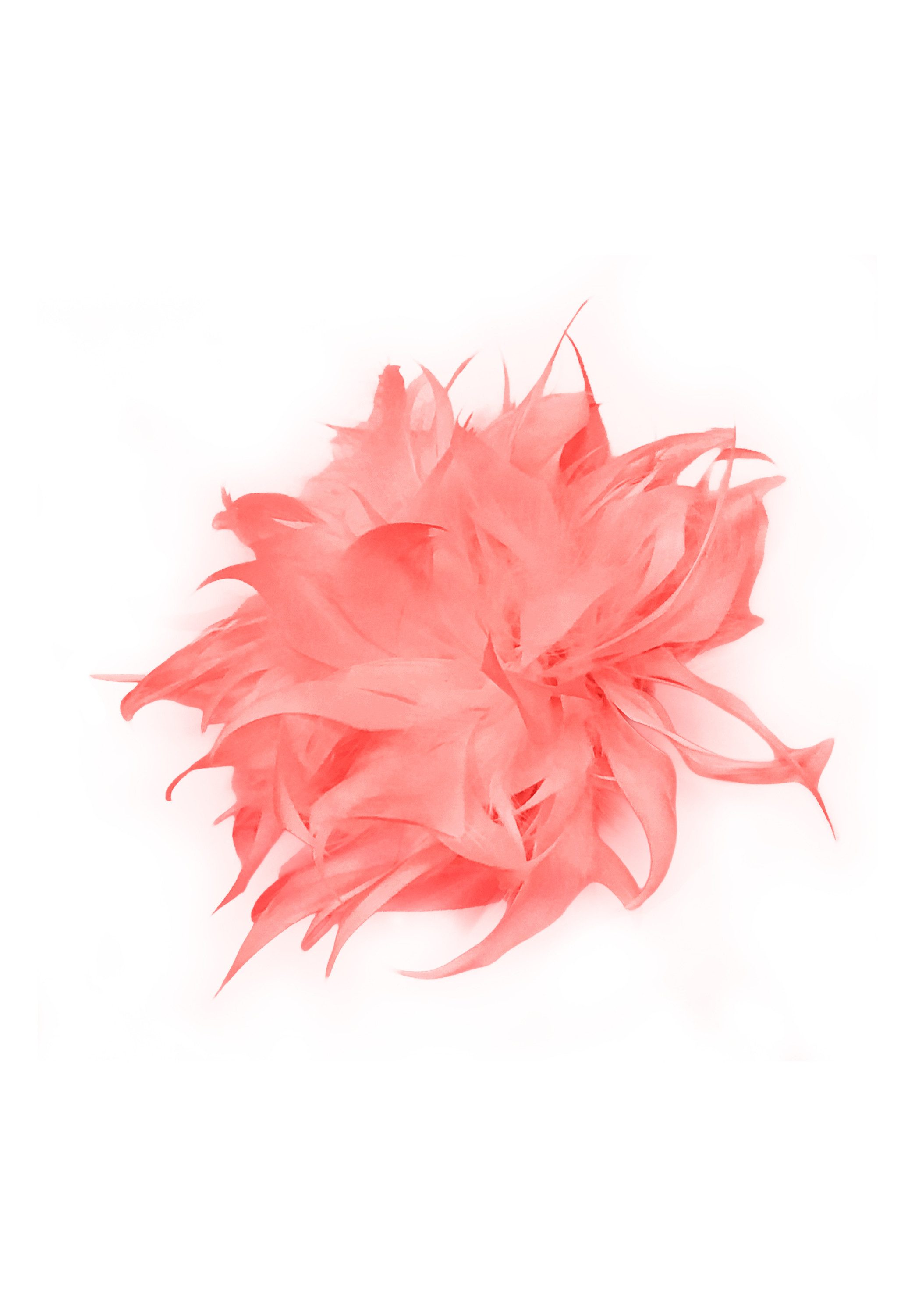 bianca Brosche BROSCHE, mit Federn in Trendfarbe