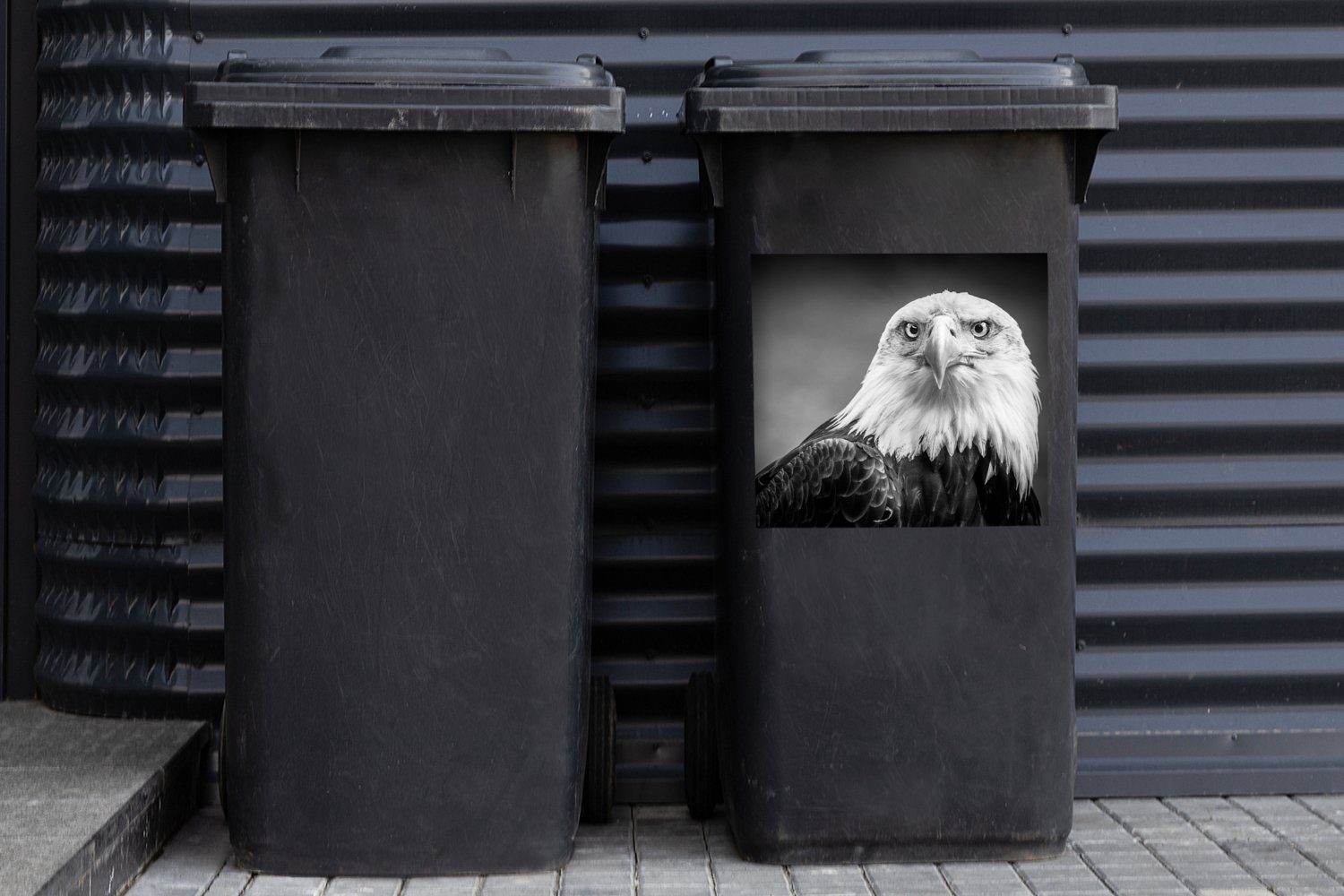 - Tiere - Container, St), Raubvogel Abfalbehälter MuchoWow Weiß (1 Mülltonne, - Sticker, - Wandsticker Adler Schwarz Mülleimer-aufkleber,