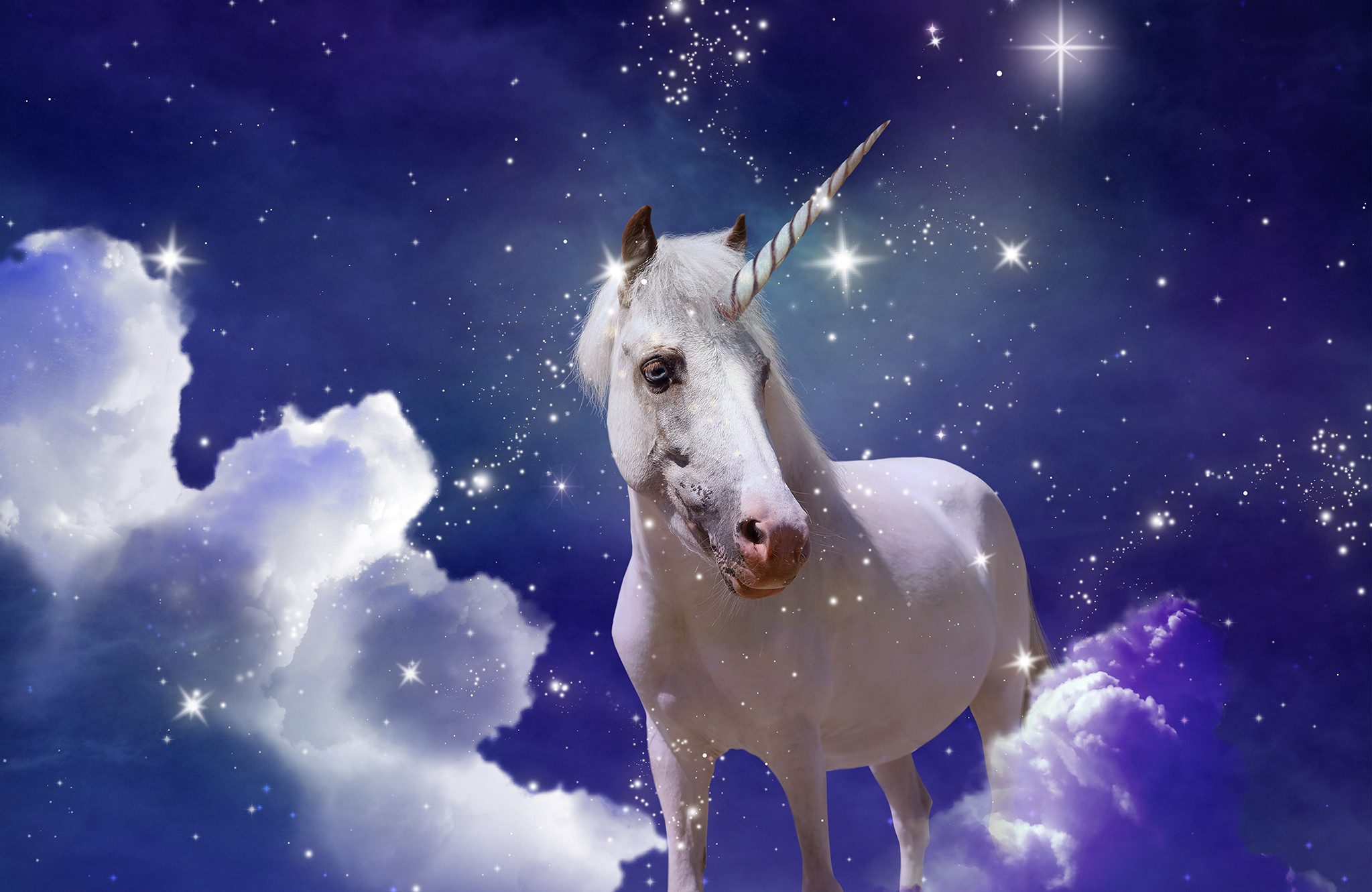 Papermoon Fototapete VLIES-Tapete Premium "Einhorn", Kleister KOSTENLOS, reduziert, 3D-Effekt, restlos trocken abziehbar, (5763), Wandtapete Bild Dekoration Wand-Dekor Motiv Tapete Poster