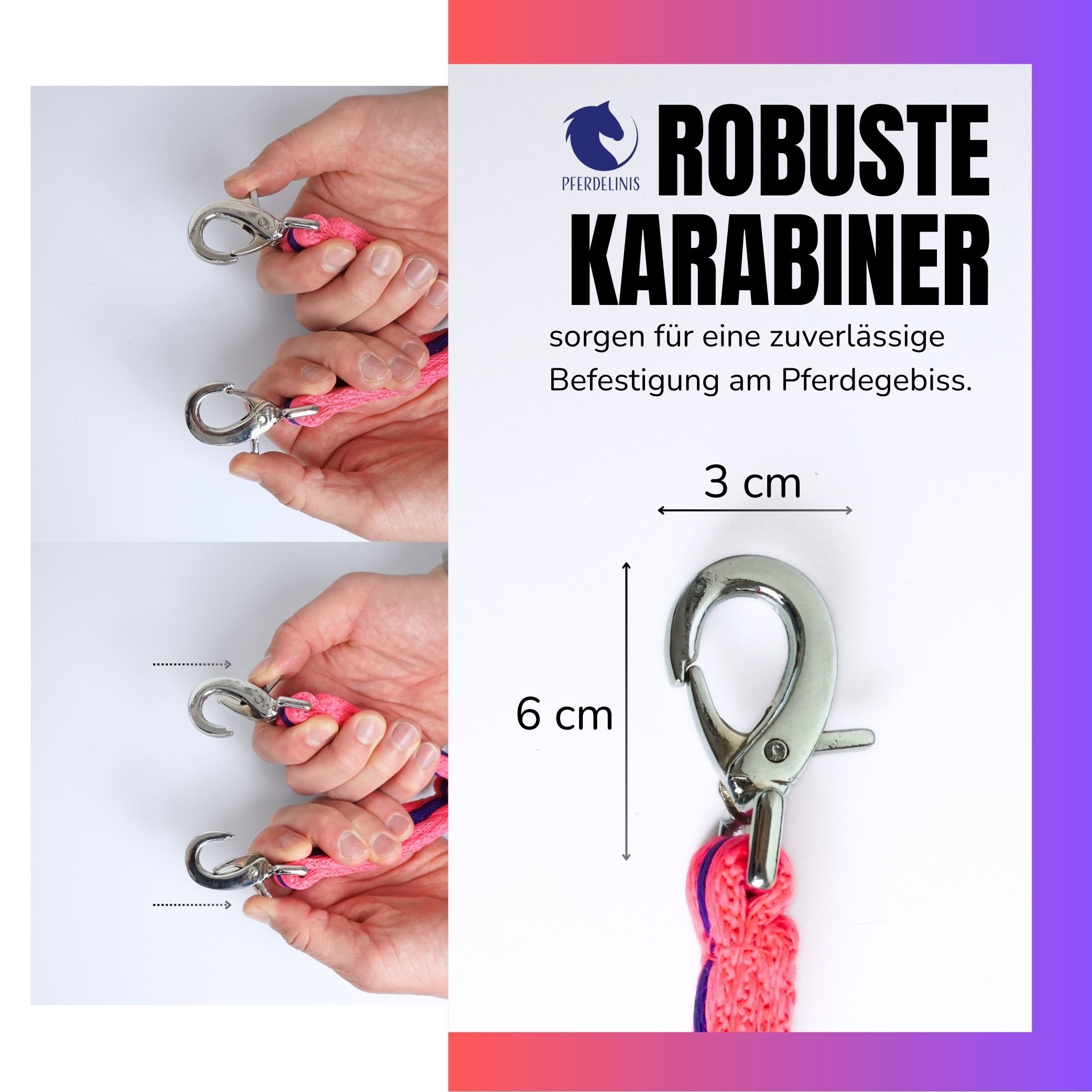 Pferdelinis Führleine Longierbrille Pferd mit Karabiner, für Longieren, Gymnastizieren, Verbindung beider Gebissringe