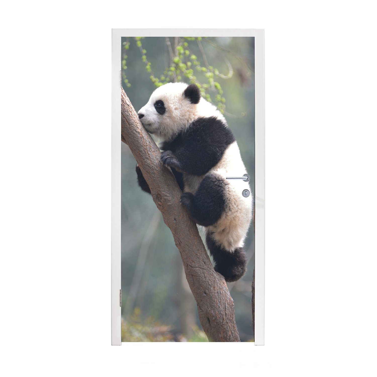 MuchoWow Türtapete Panda - Tier - Baum, Matt, bedruckt, (1 St), Fototapete für Tür, Türaufkleber, 75x205 cm