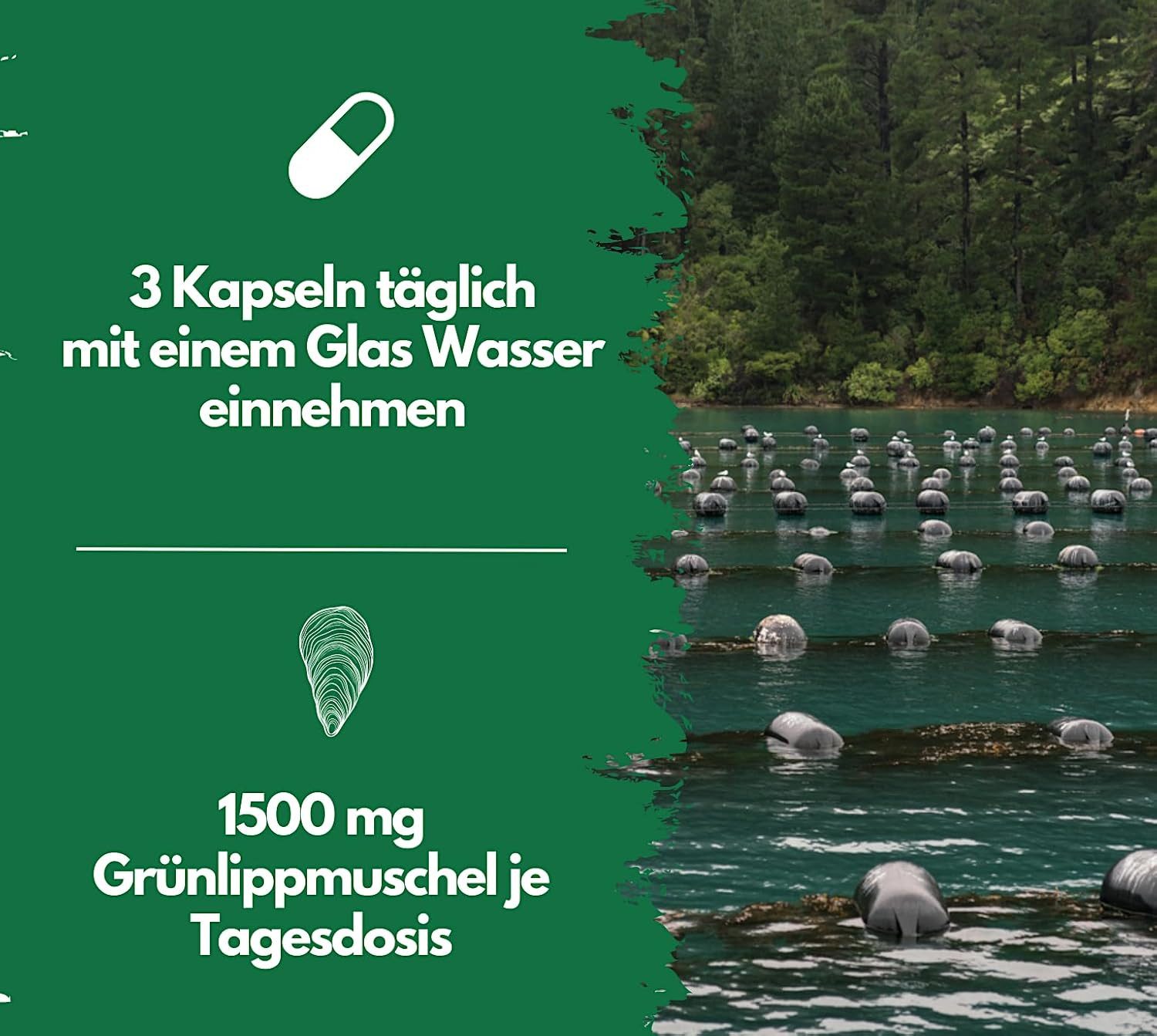 Grünlippmuschel Kapseln- hoch konzentriert aus Neuseeland Kapseln, 180 g