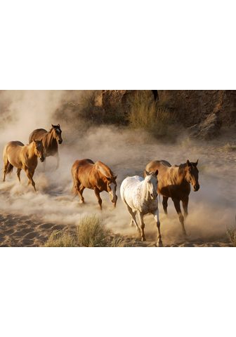  PAPERMOON фотообои »Wild Horses&...