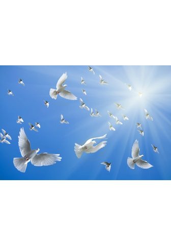  PAPERMOON фотообои »White Doves&...