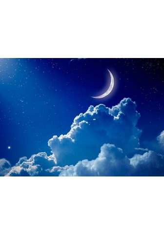  PAPERMOON фотообои »Night Sky wi...